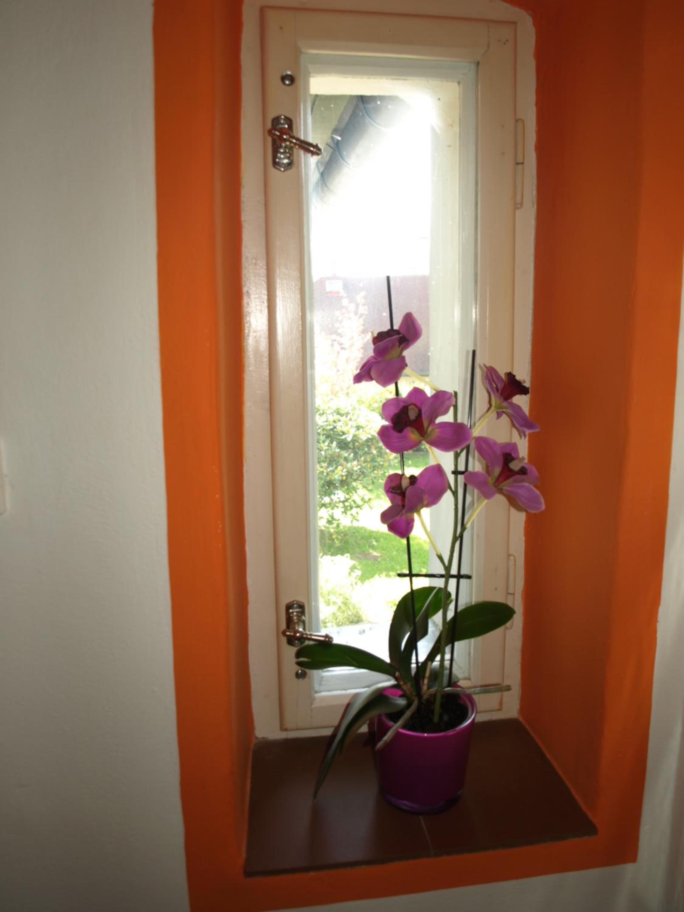Guest House LUFT Sněžník