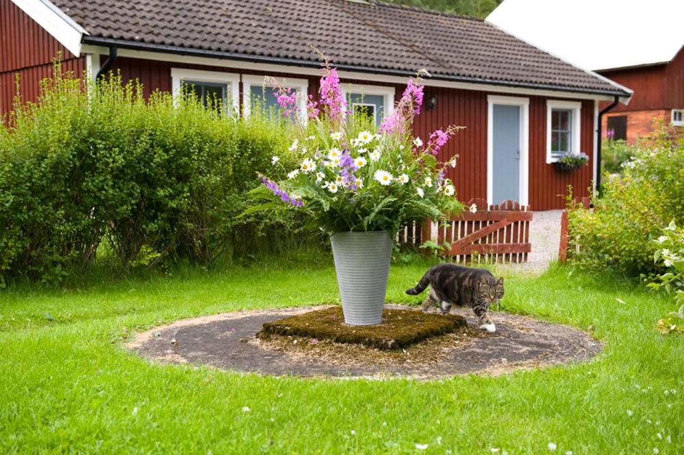 Ekologiska Fru Gran B&B i Tiveden