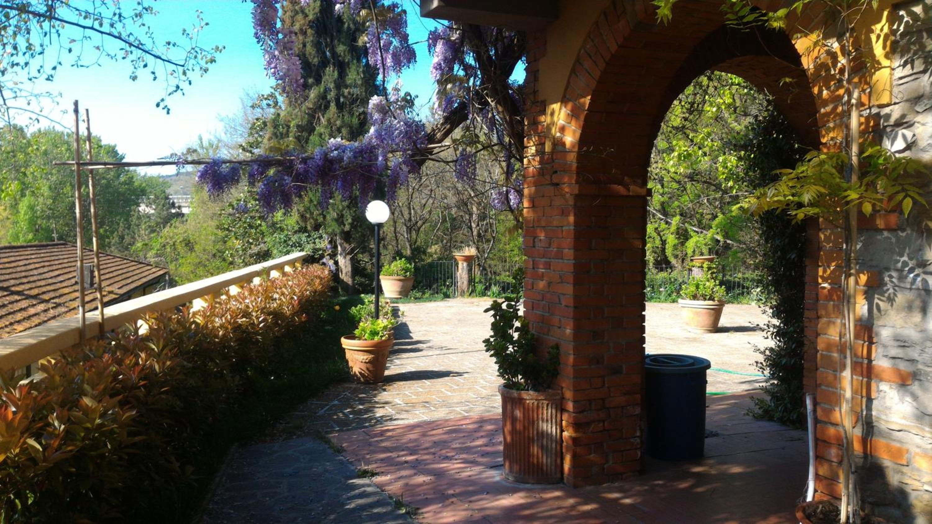 Photo 8