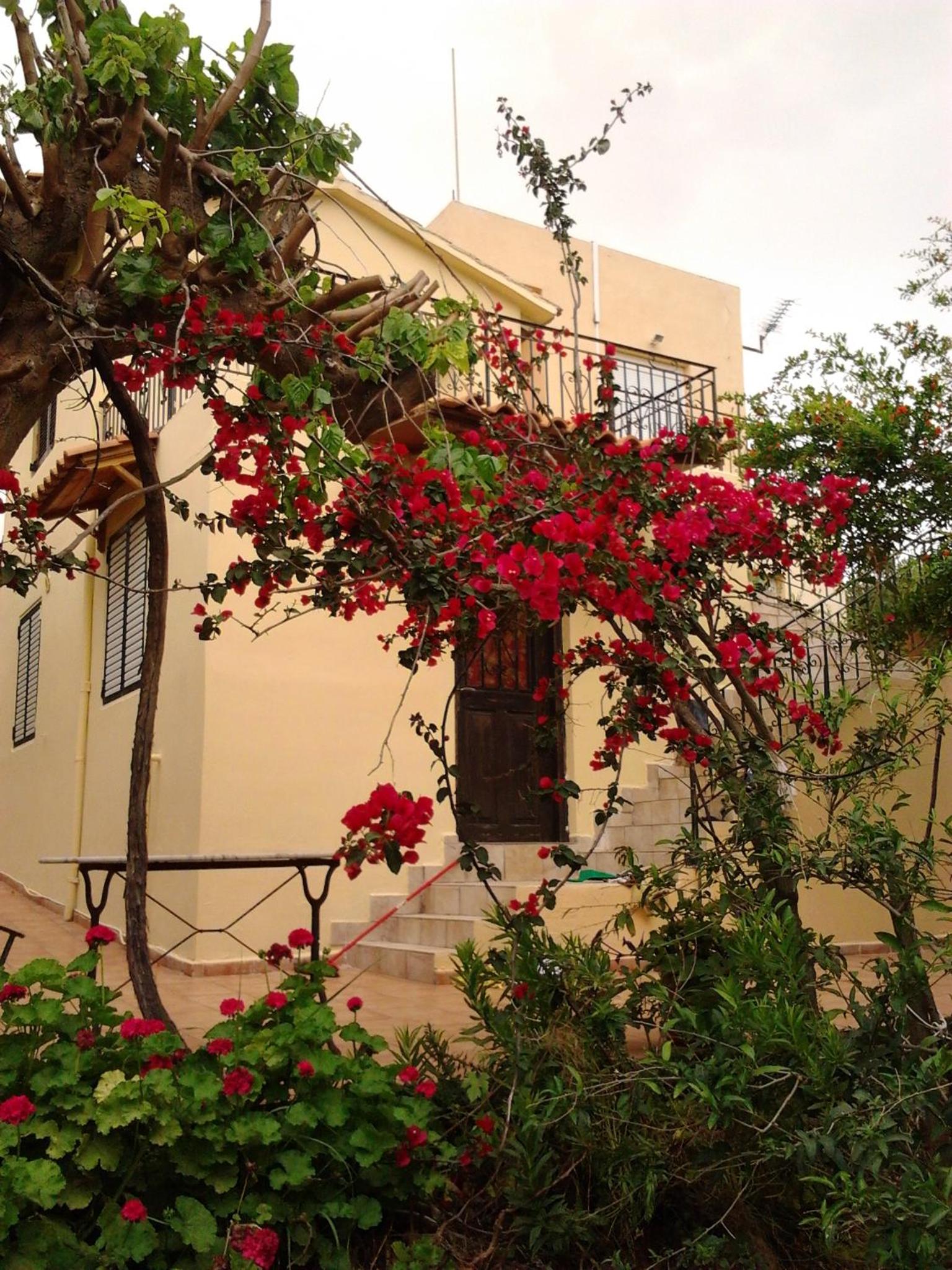 Ktima Tzamika