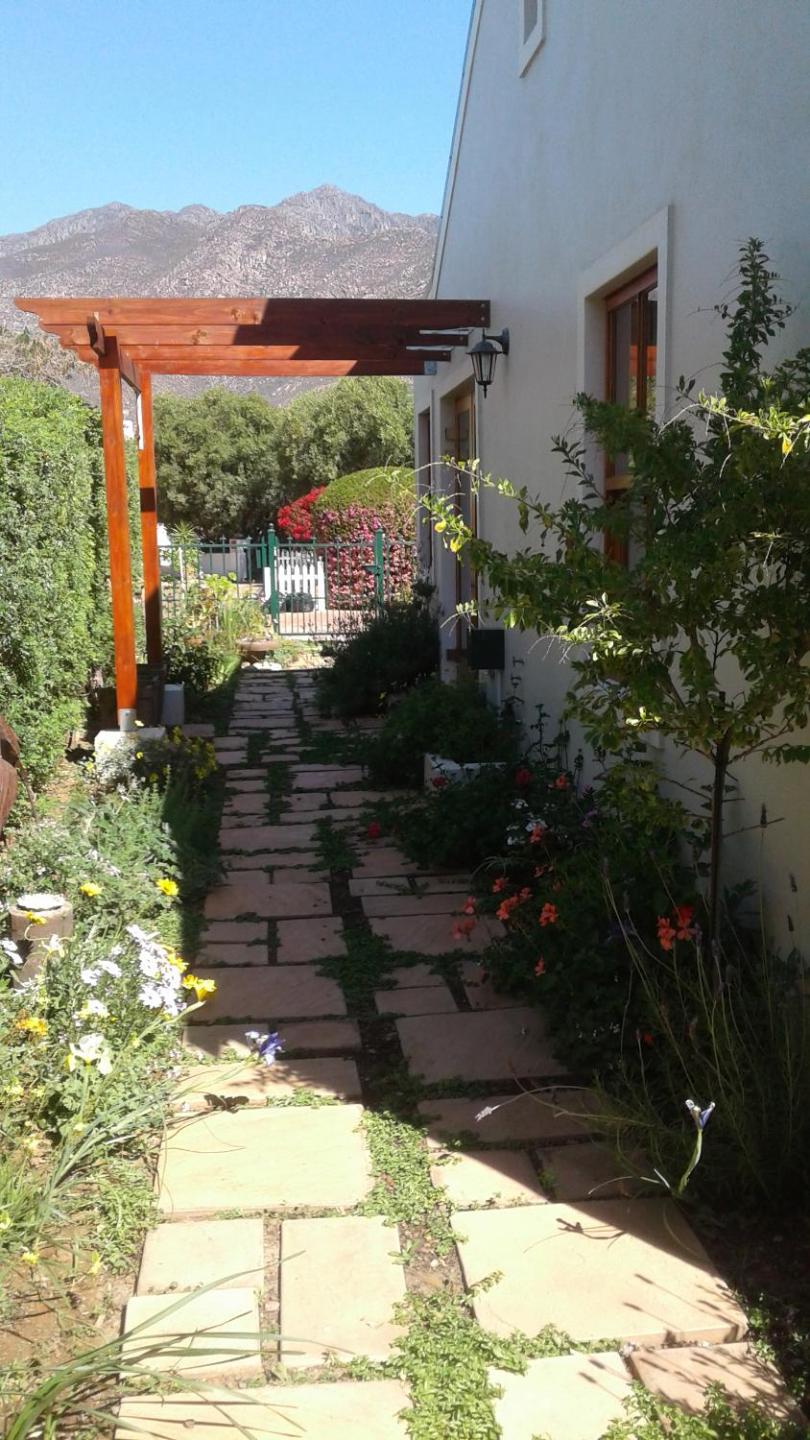 Photo 41