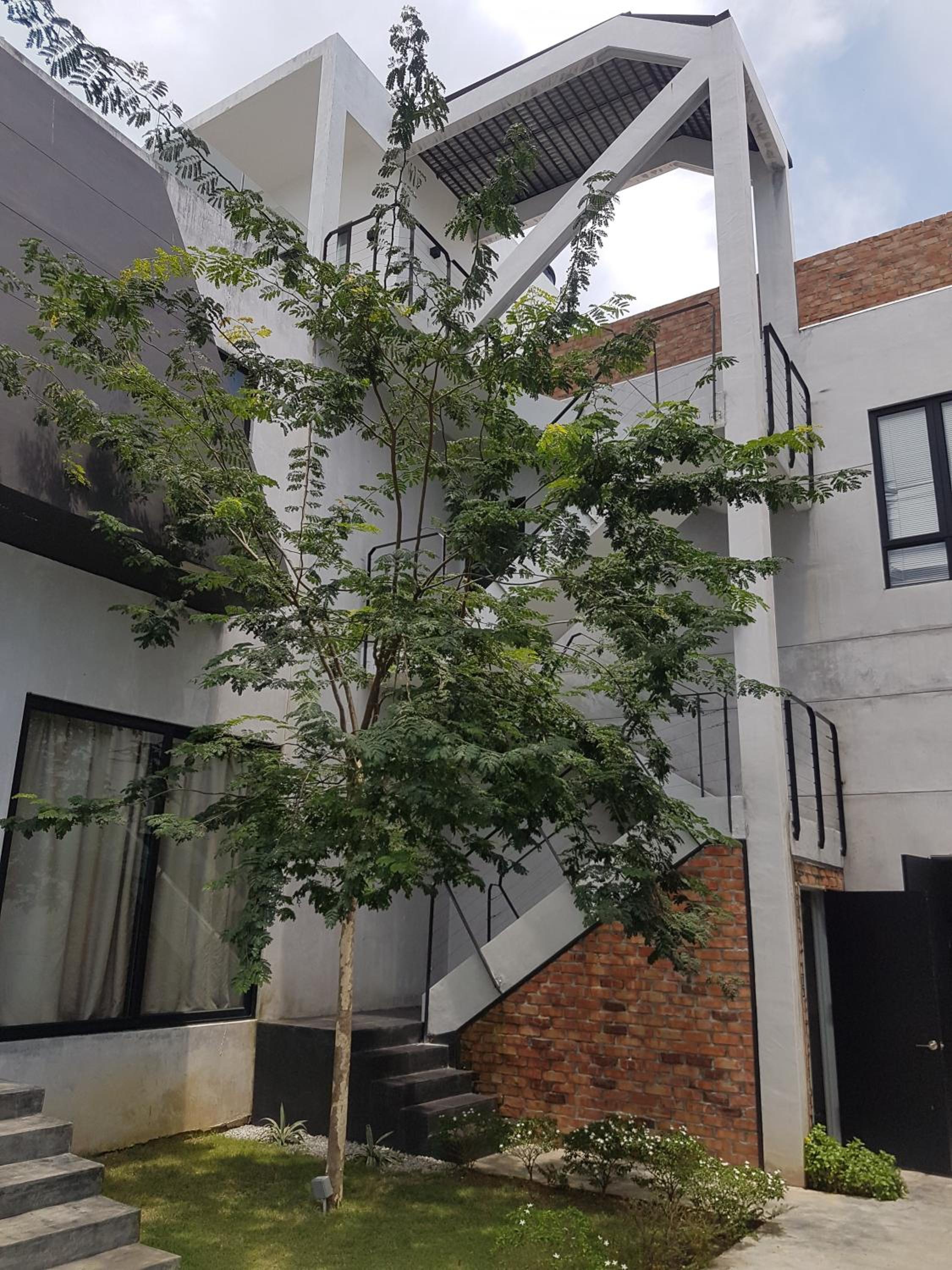 Photo 19