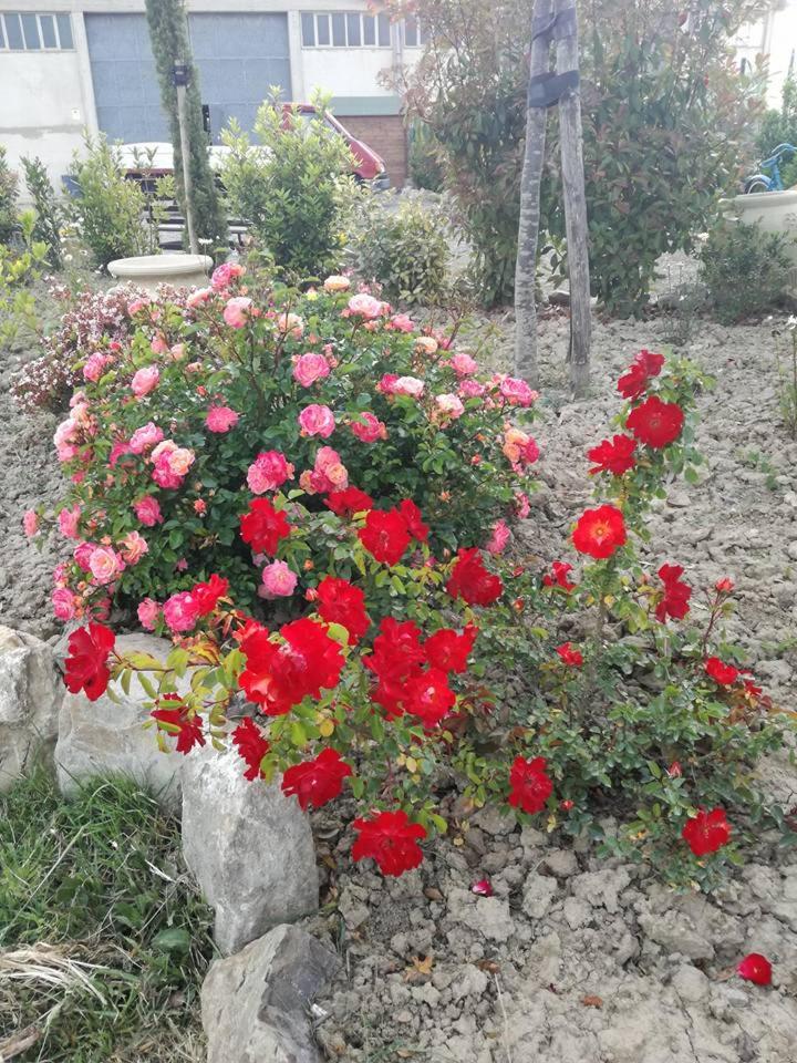 Agriturismo La Spiga