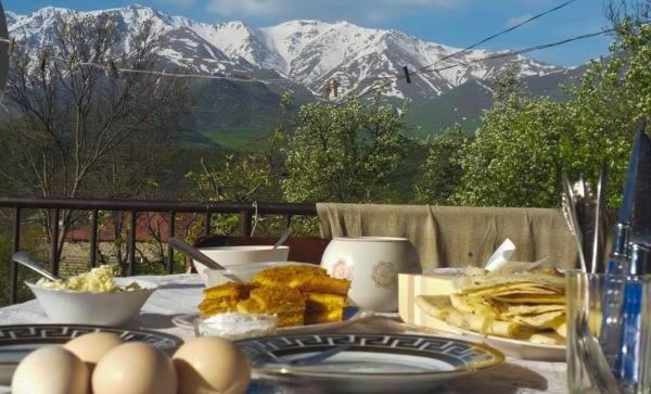 Saro B&B and Safari Tours