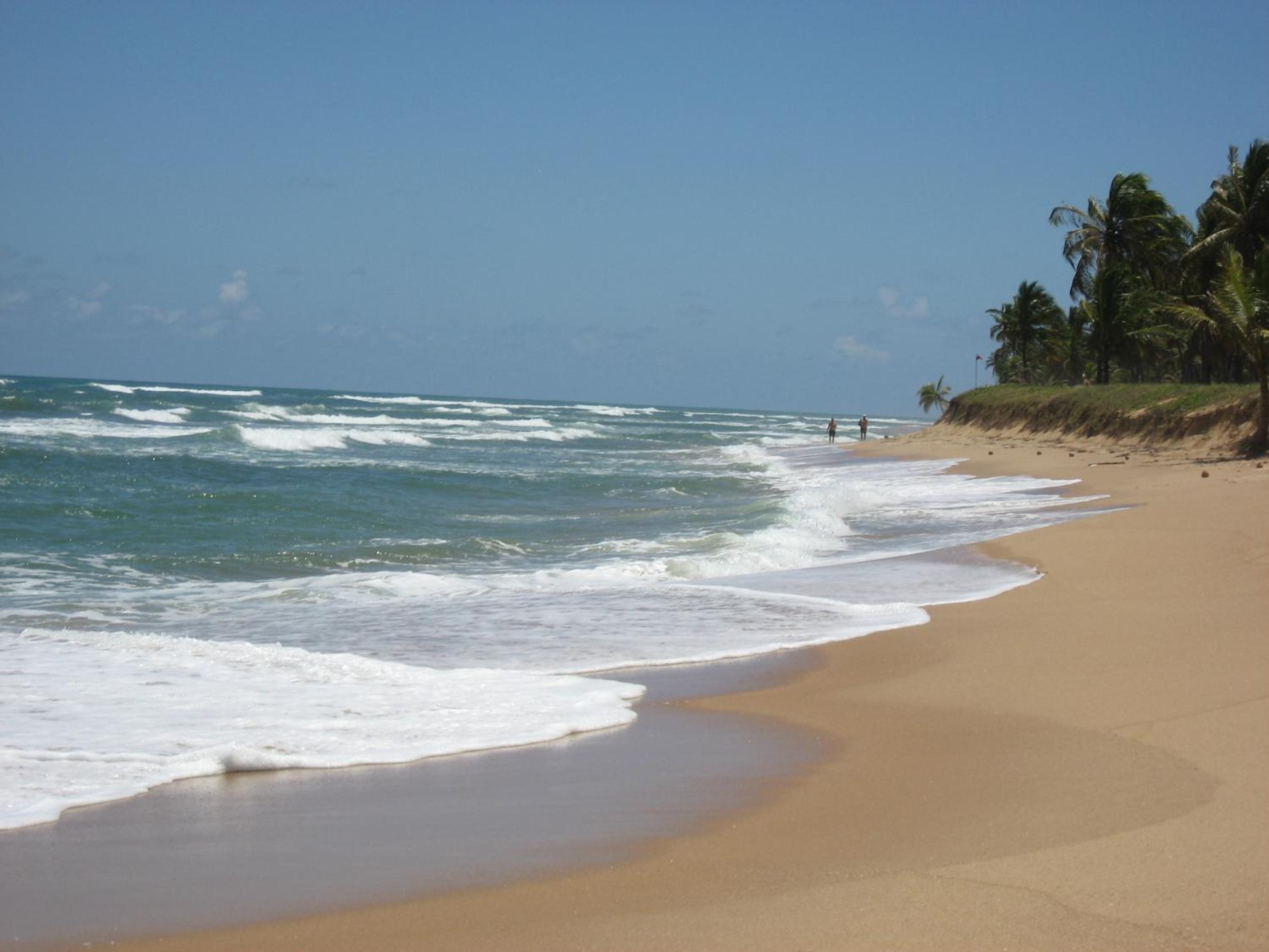 Paribahia view 3
