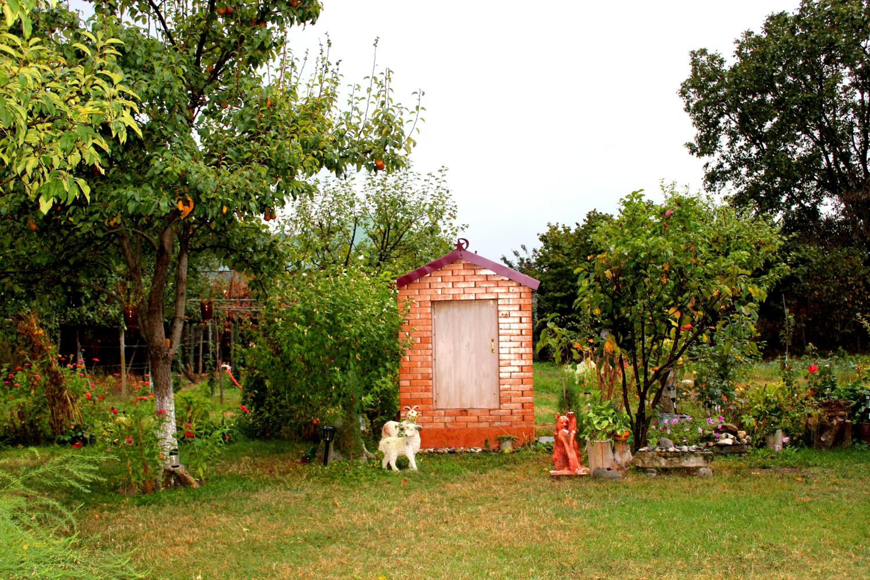 Photo 7