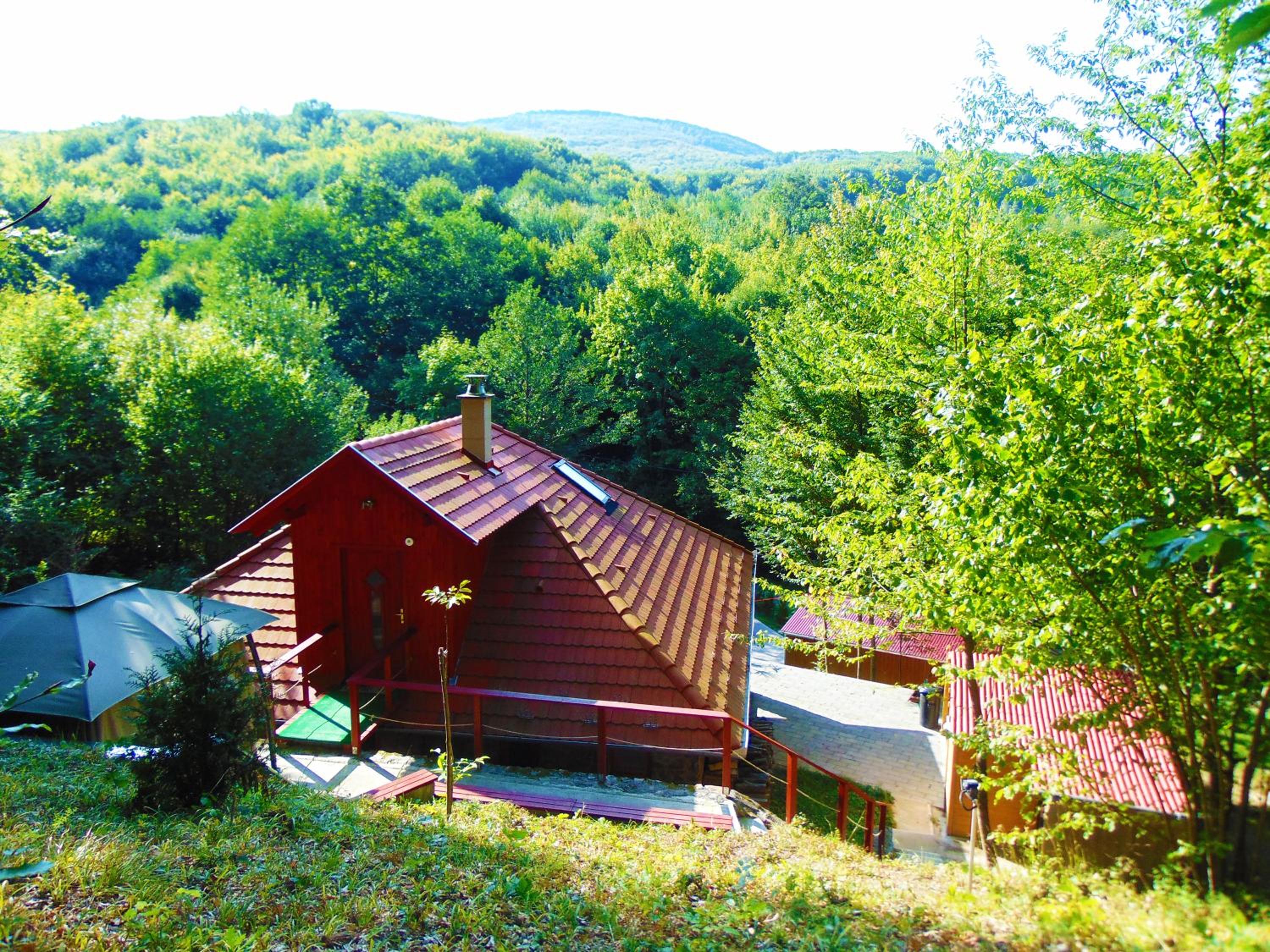 Photo 42