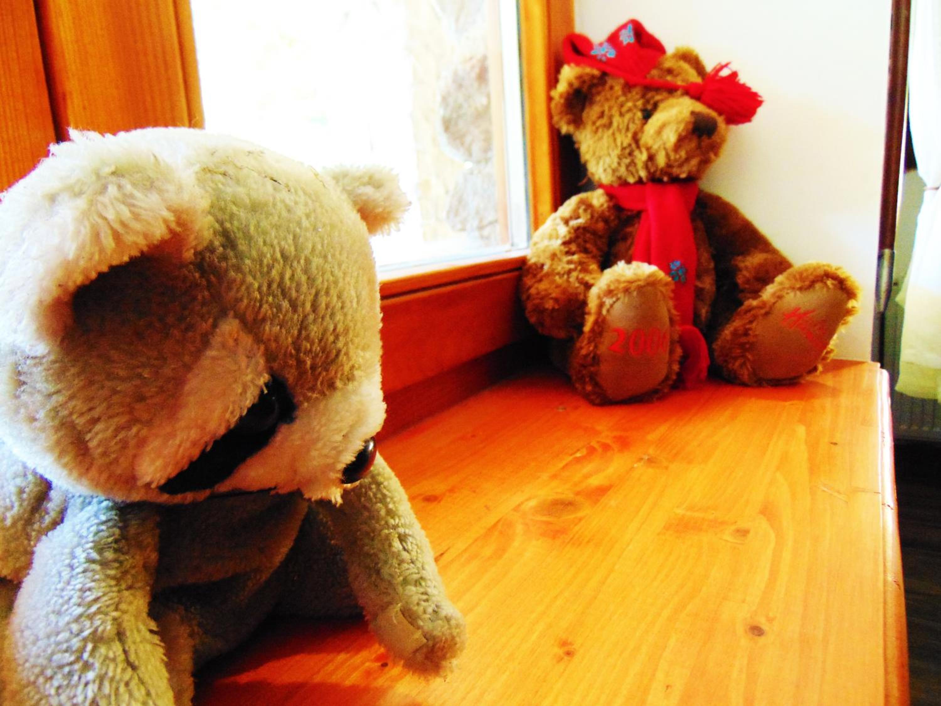 Photo 37