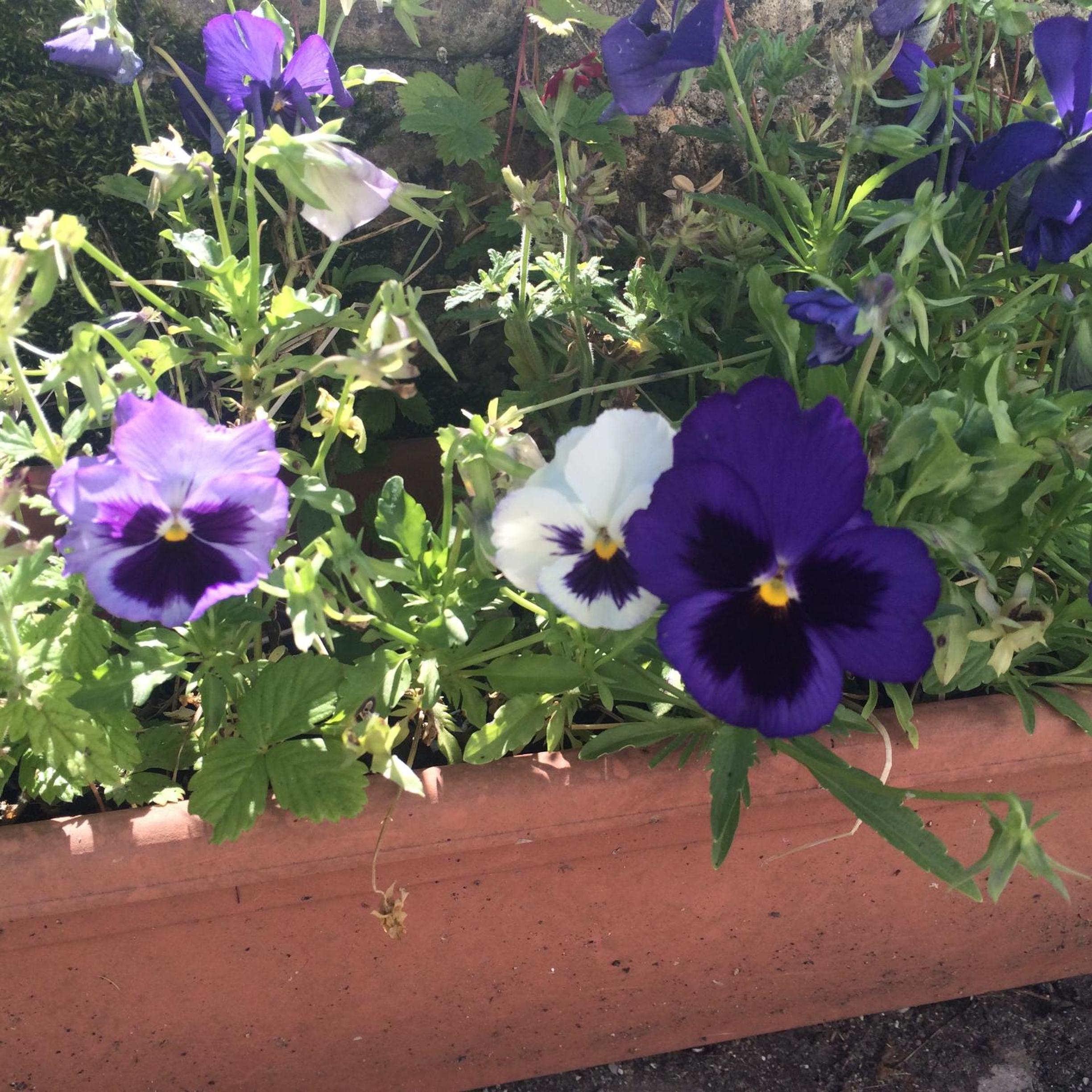 Photo 20