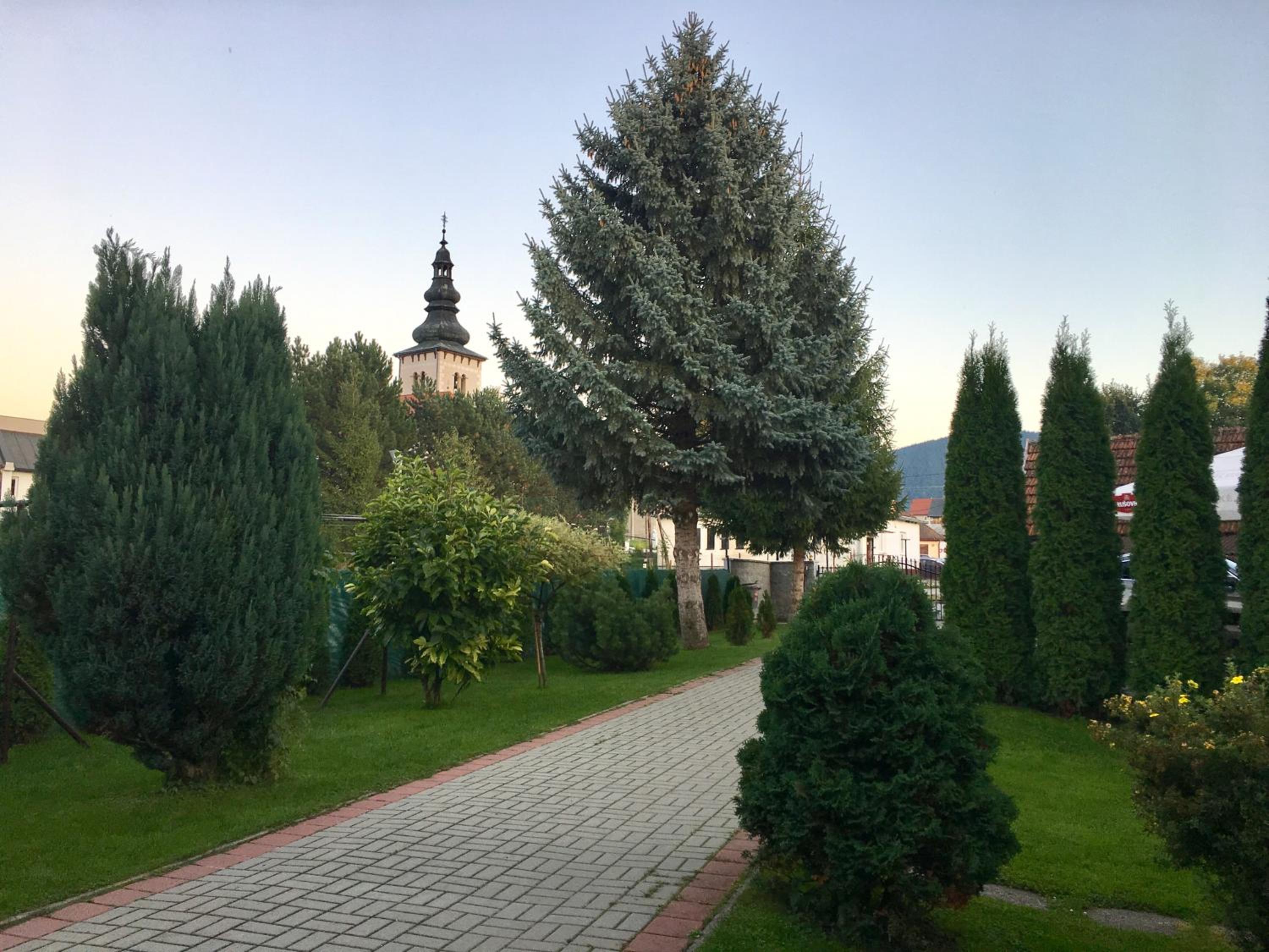 Photo 31