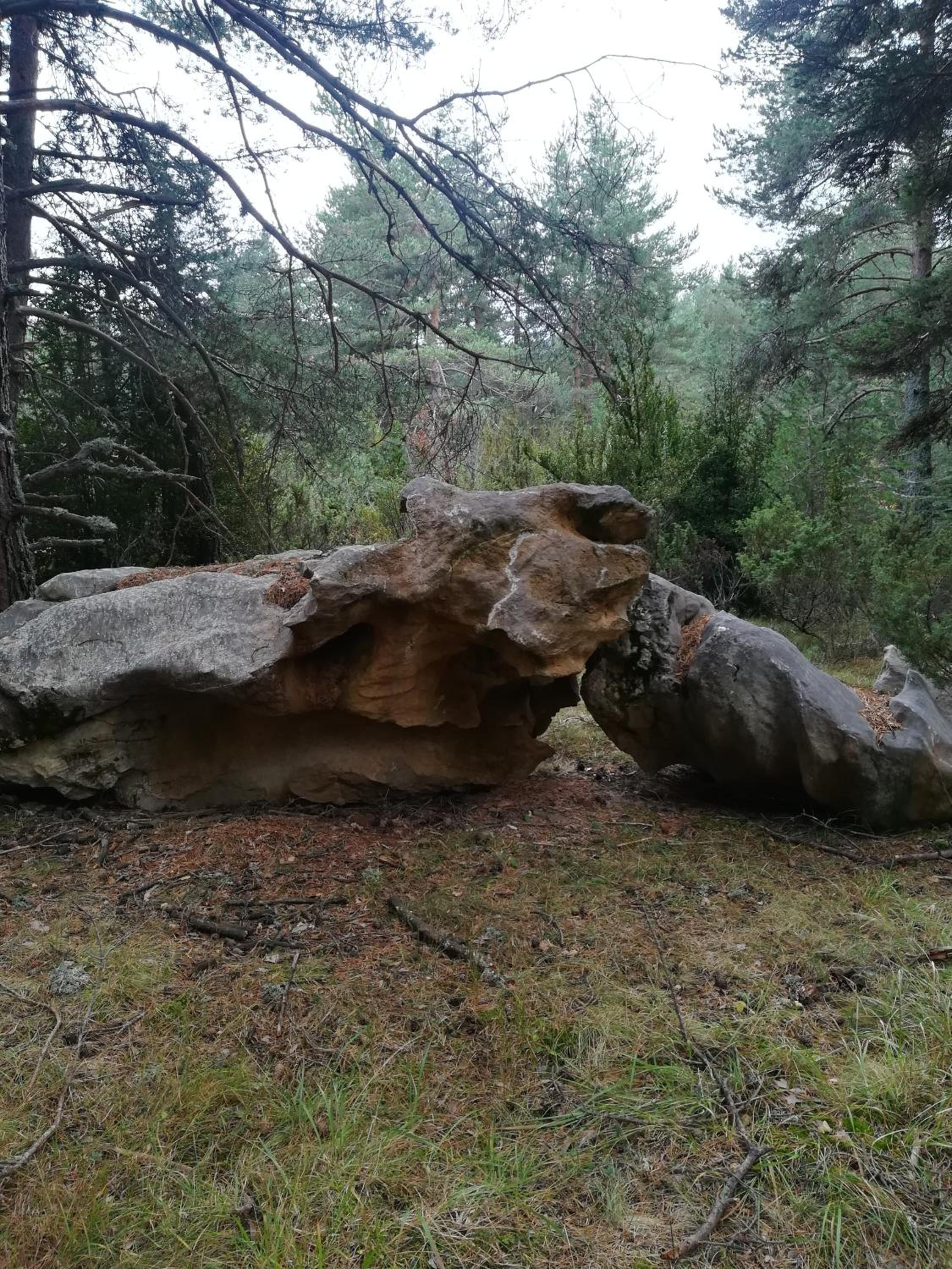 Photo 8