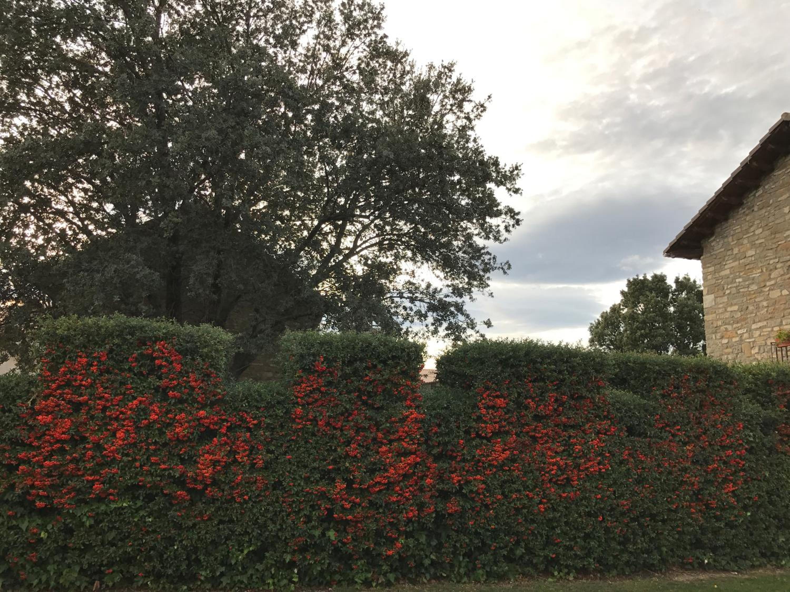Apartamento Casa Campo
