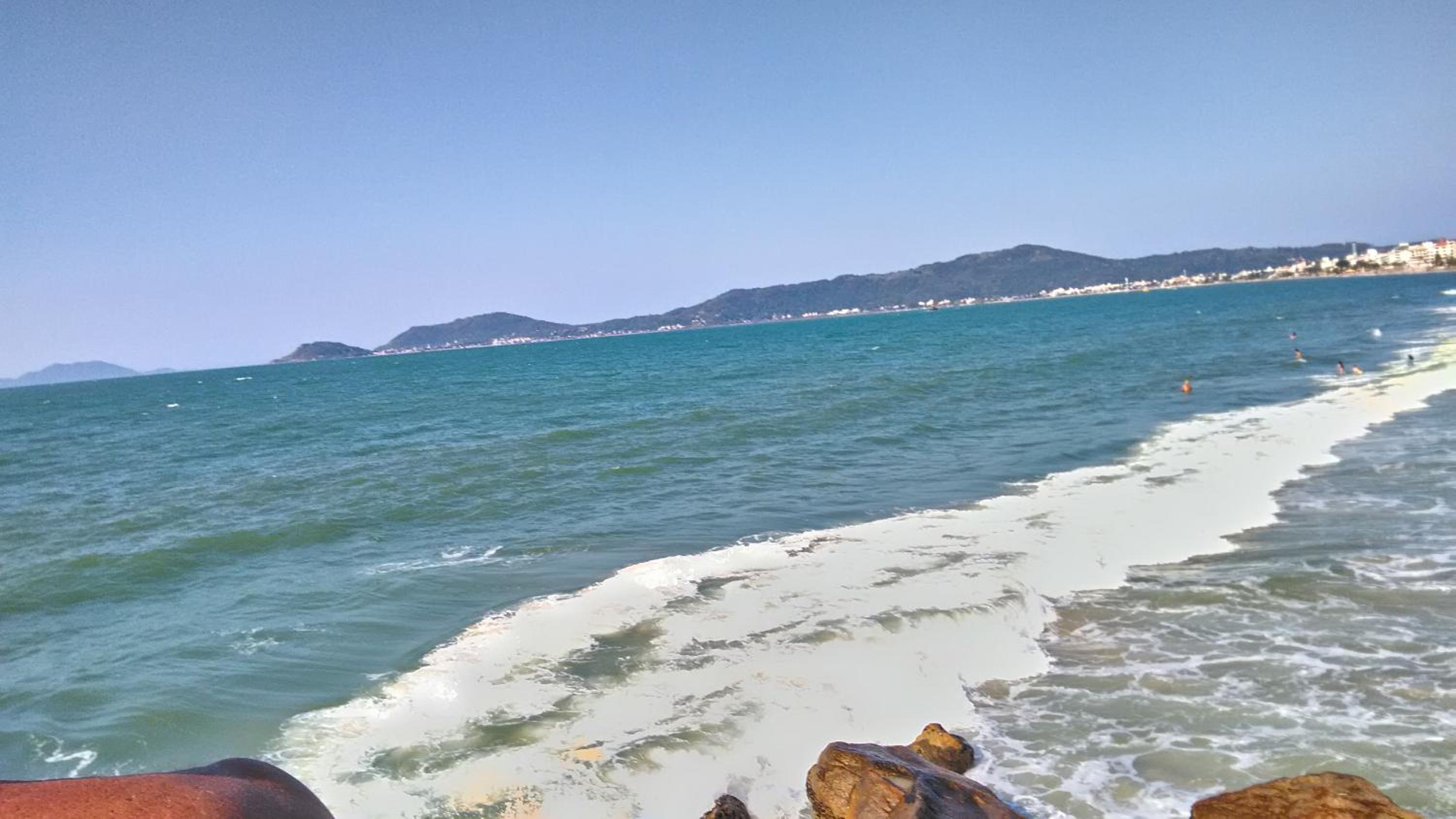 Tartaruga Azul