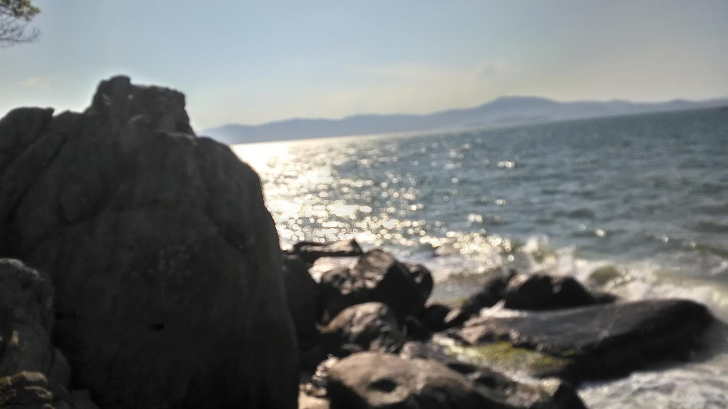 Tartaruga Azul