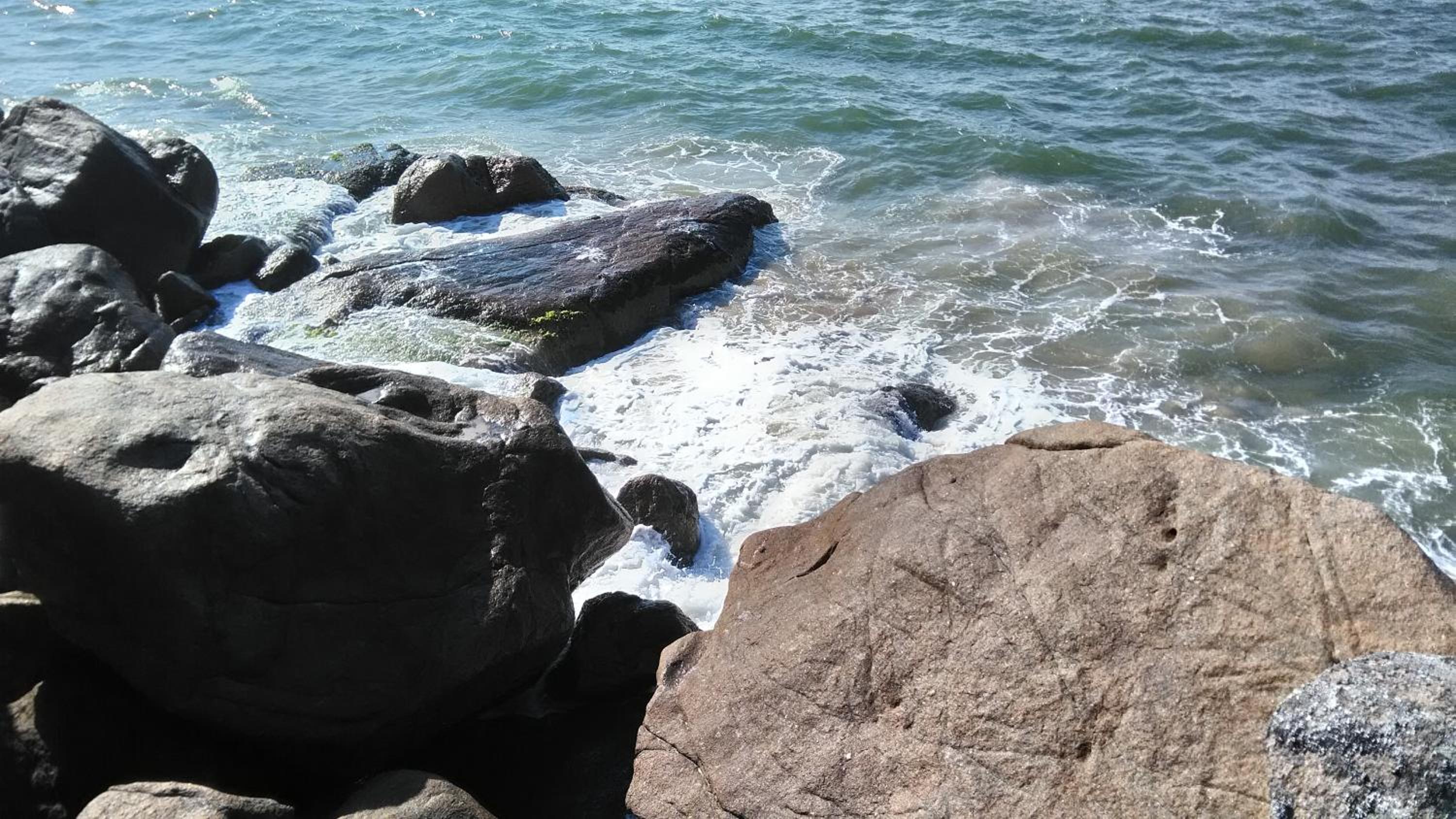 Tartaruga Azul