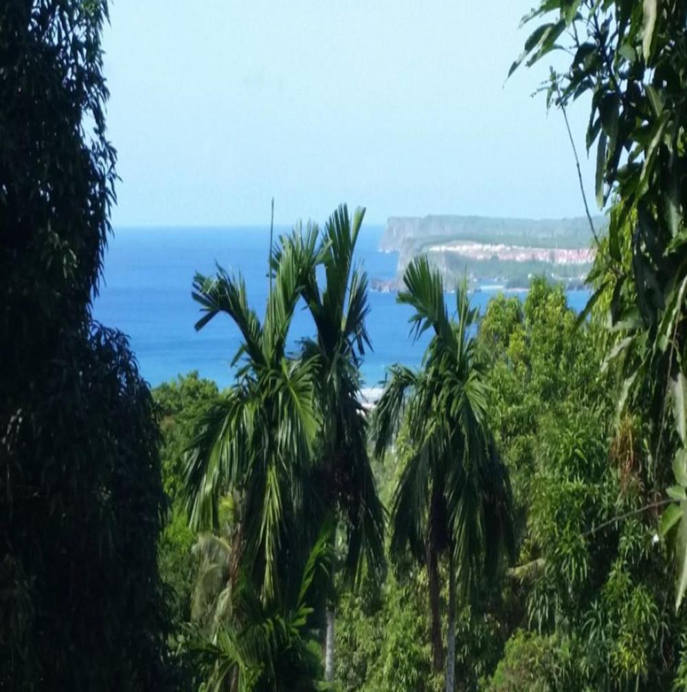 Home away from home! view 3