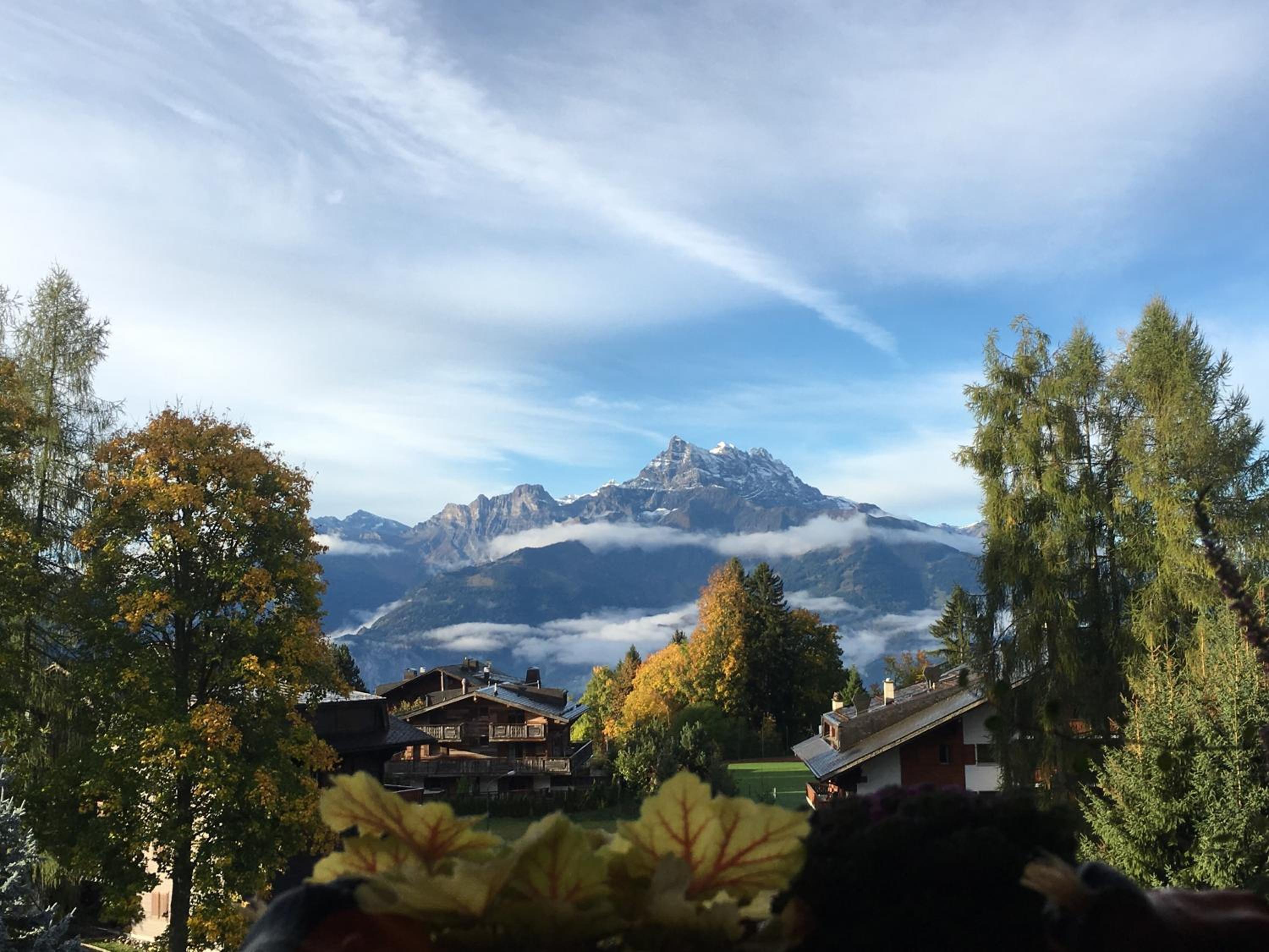 Chalet La Renarde