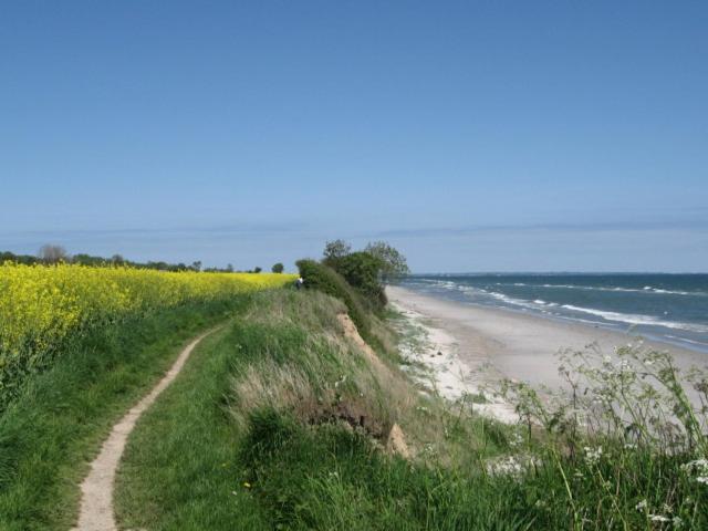 Photo 45