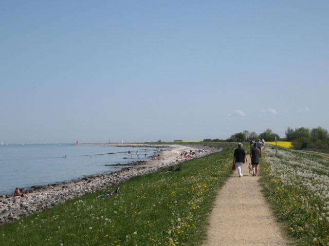 Photo 49