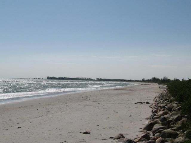Photo 52