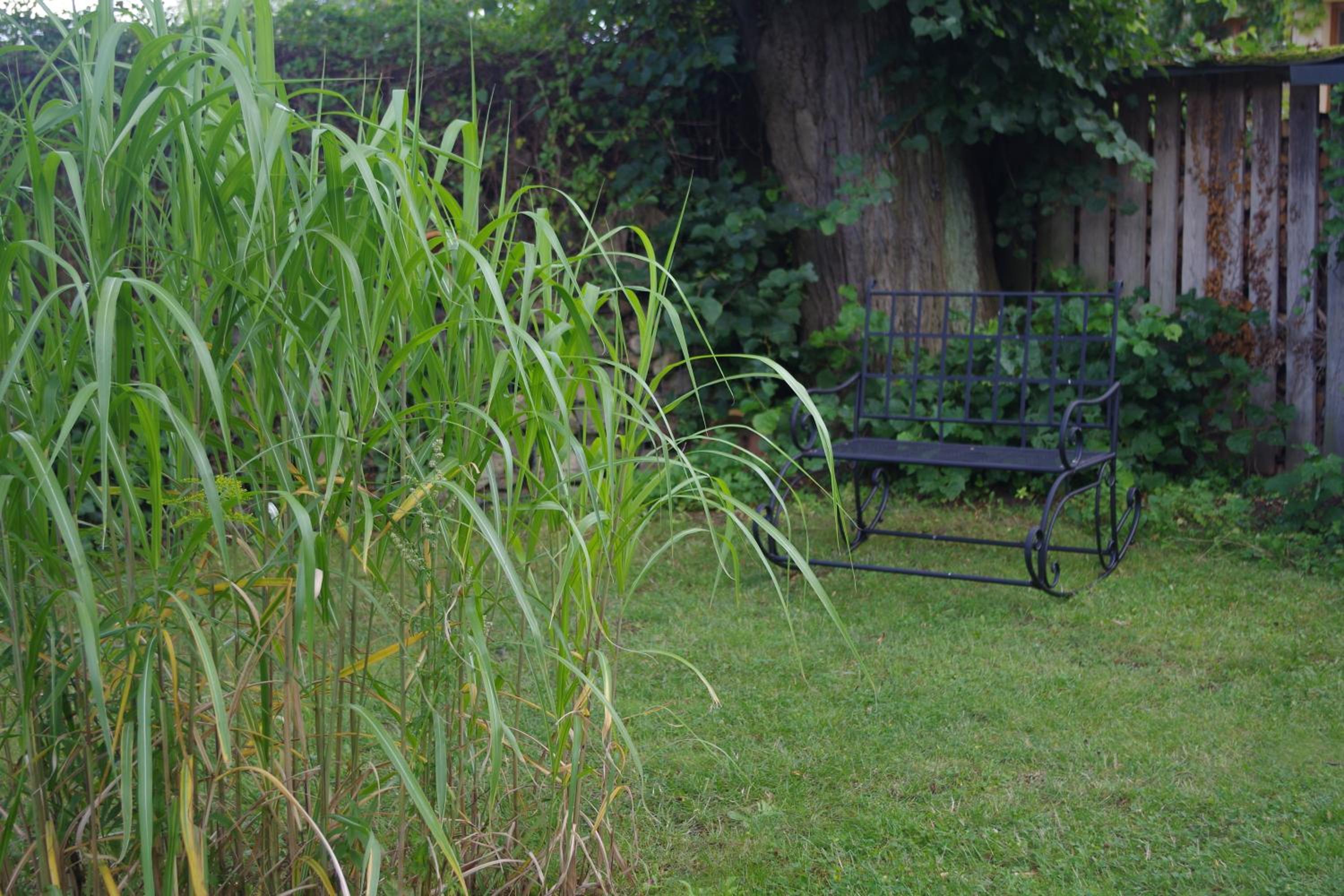 Haus am See in Kleinzerlang