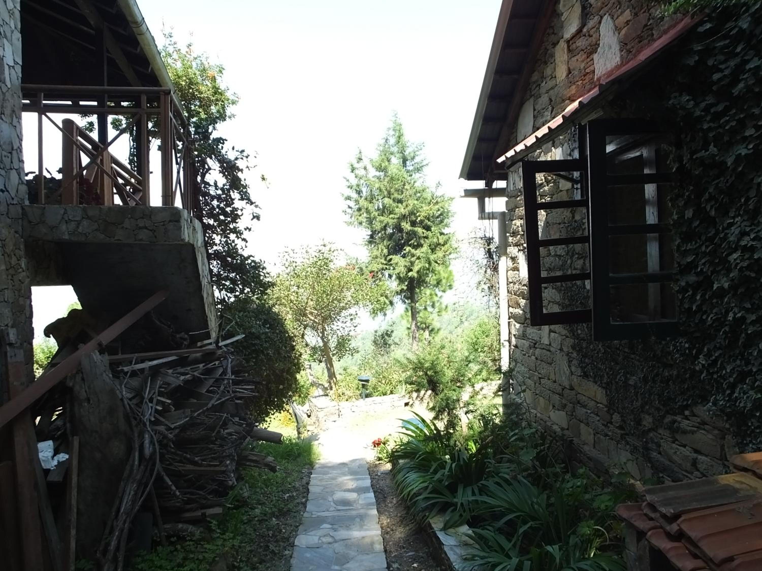 Photo 43