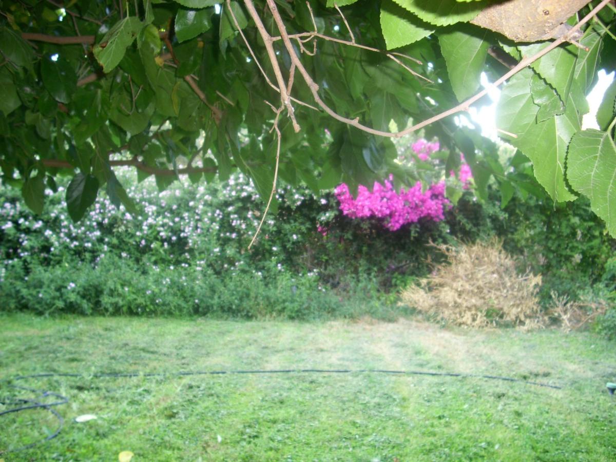 Photo 27