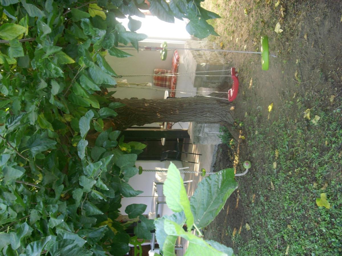 Photo 36