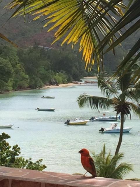 Sea View Lodge