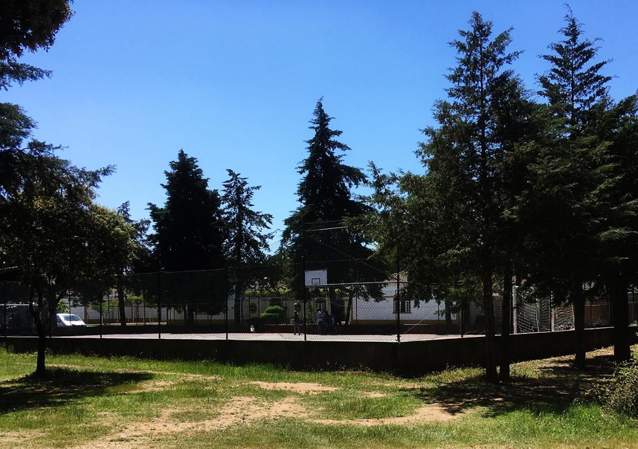 Parque de Campismo Orbitur Montargil