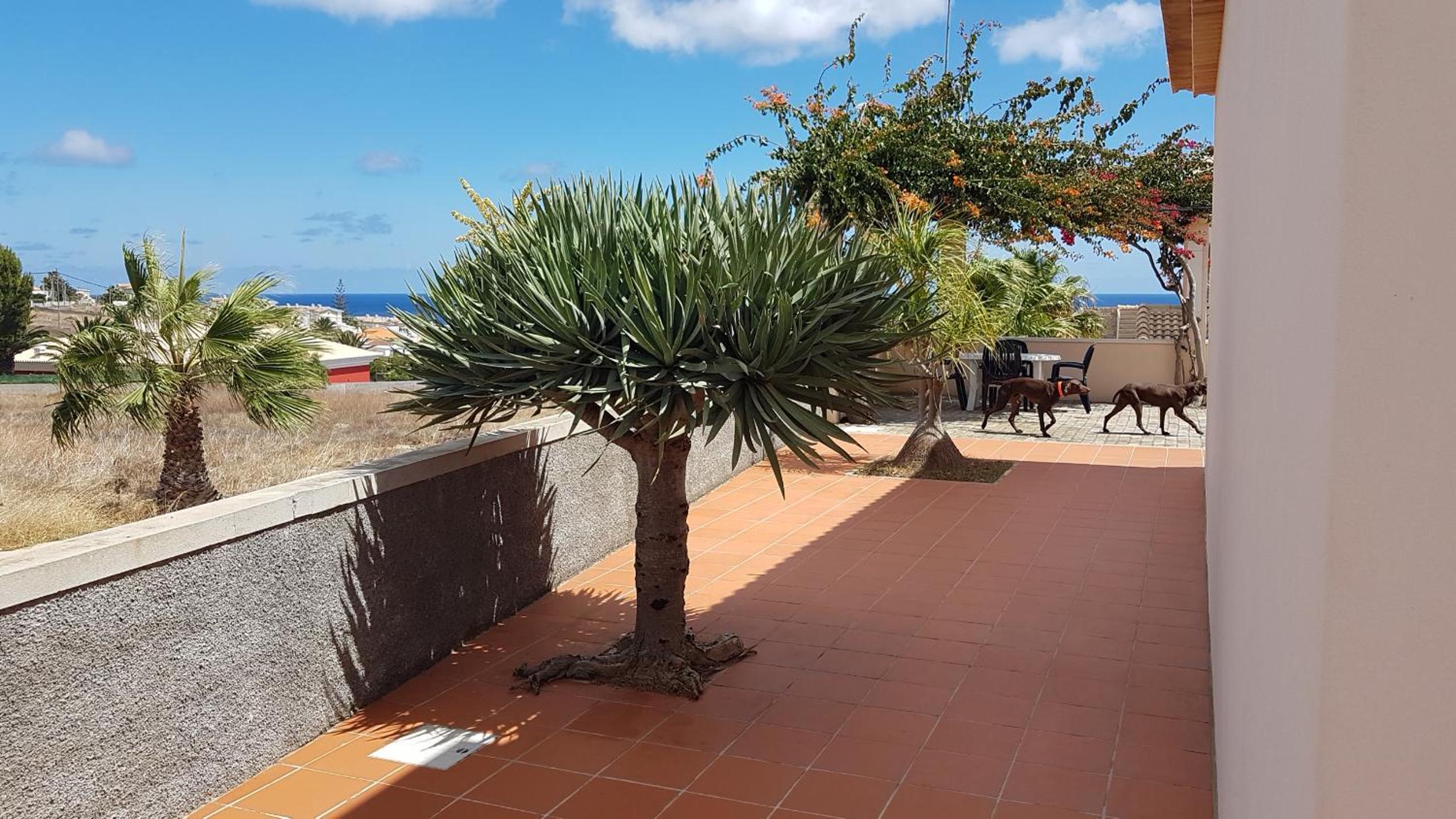 Porto Santo Vacations - Casa do Cisne - Property Image 5
