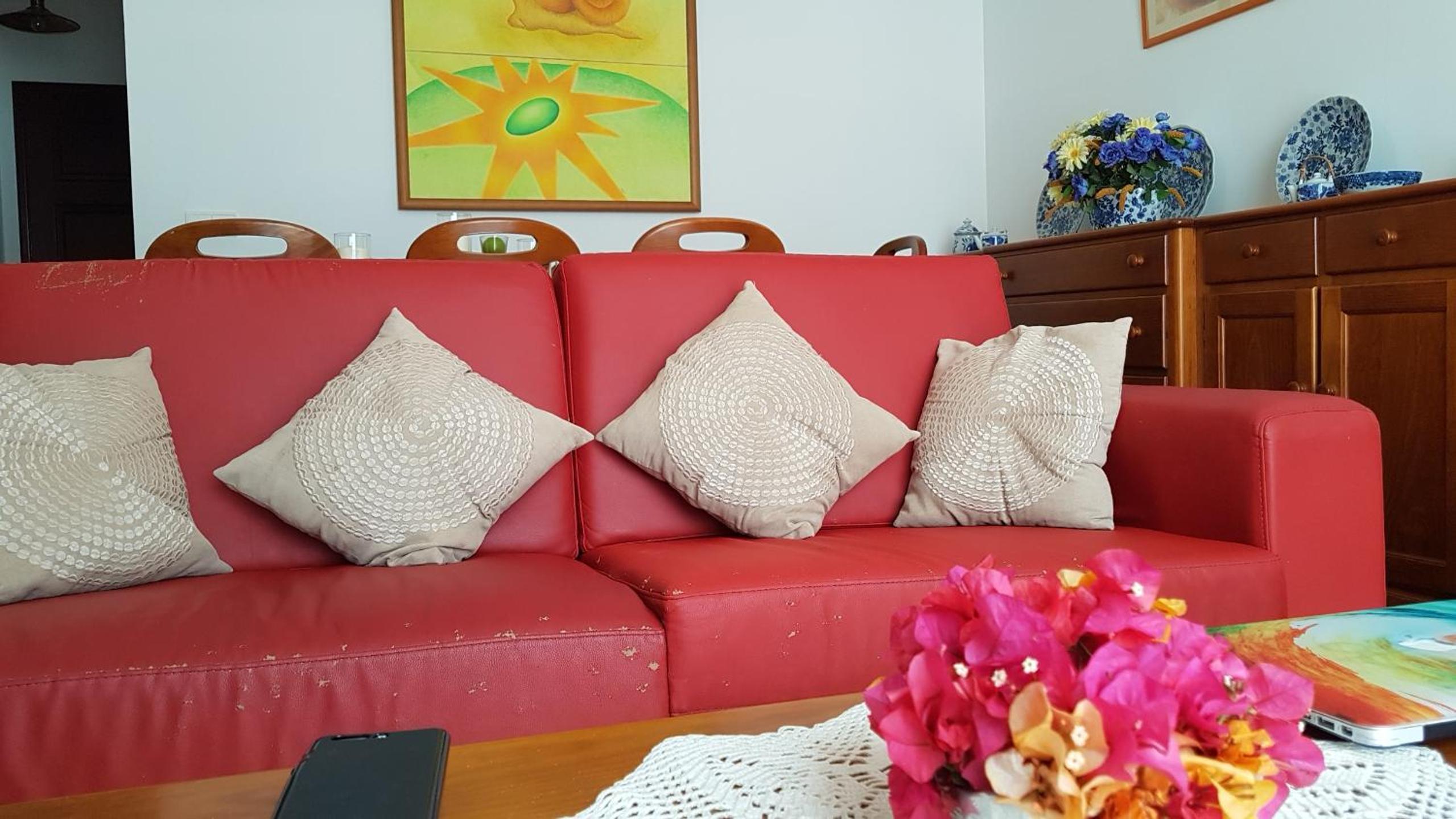 Porto Santo Vacations - Casa do Cisne - Property Image 7