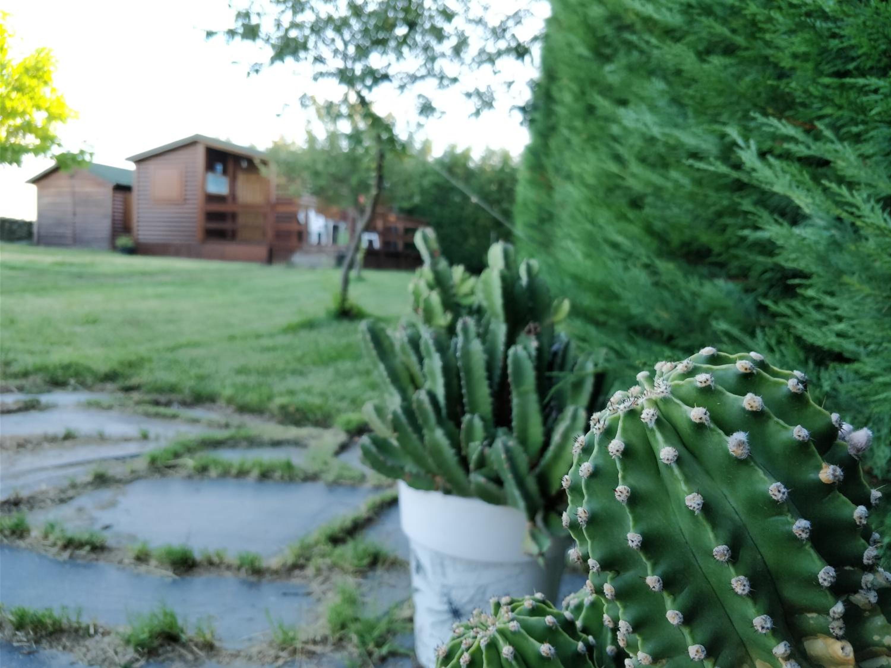 La Facera, Cabañas de Madera