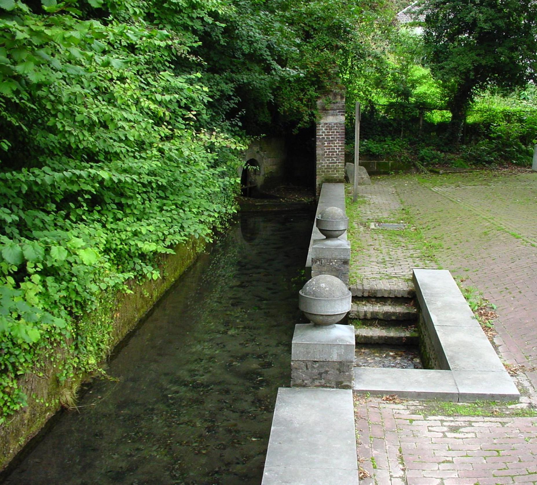Photo 46