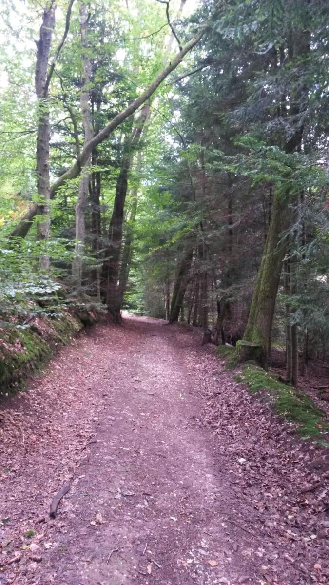 Gite de Moulin Maurt view 3