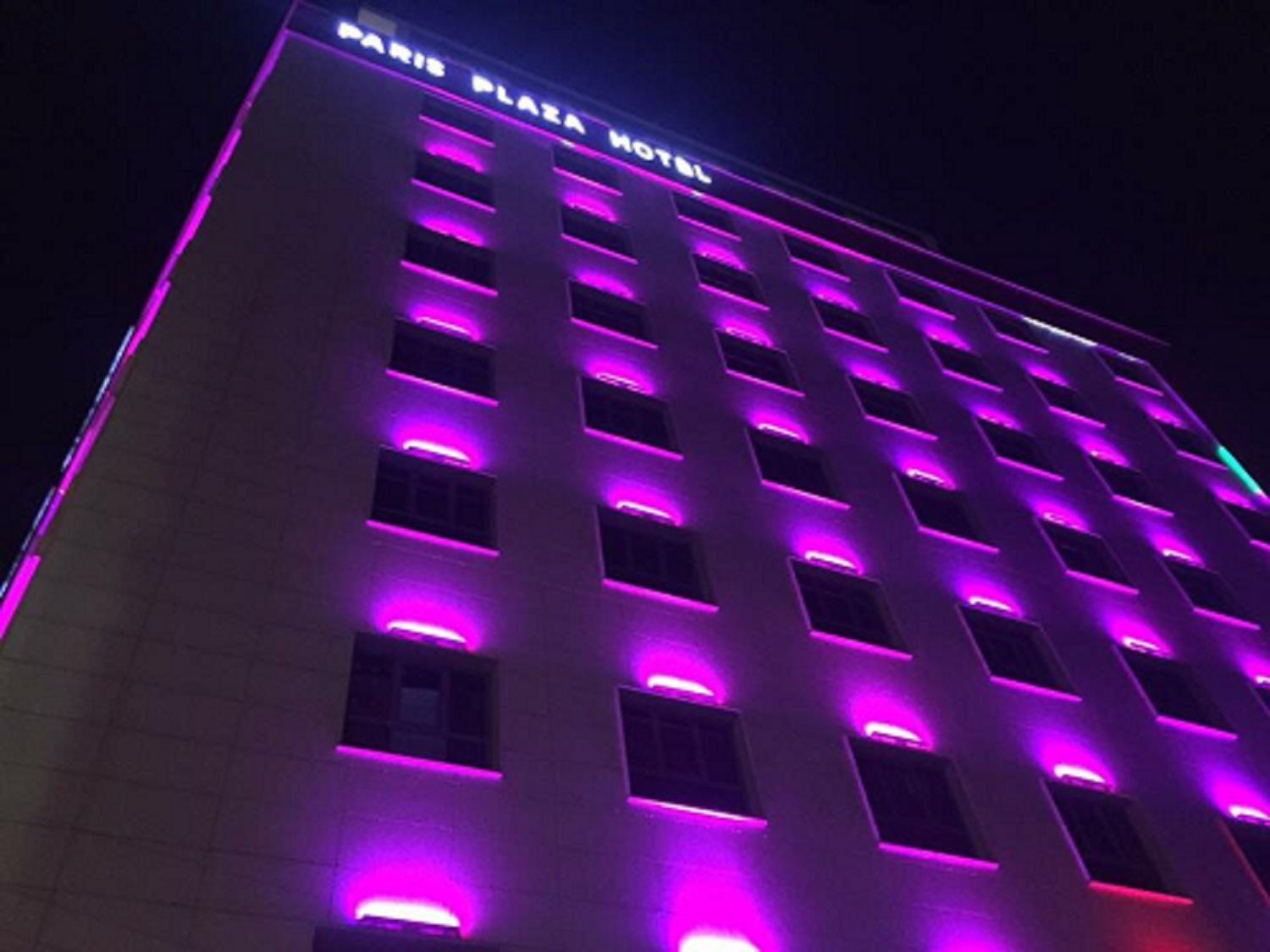 Paris Plaza Hotel view 4