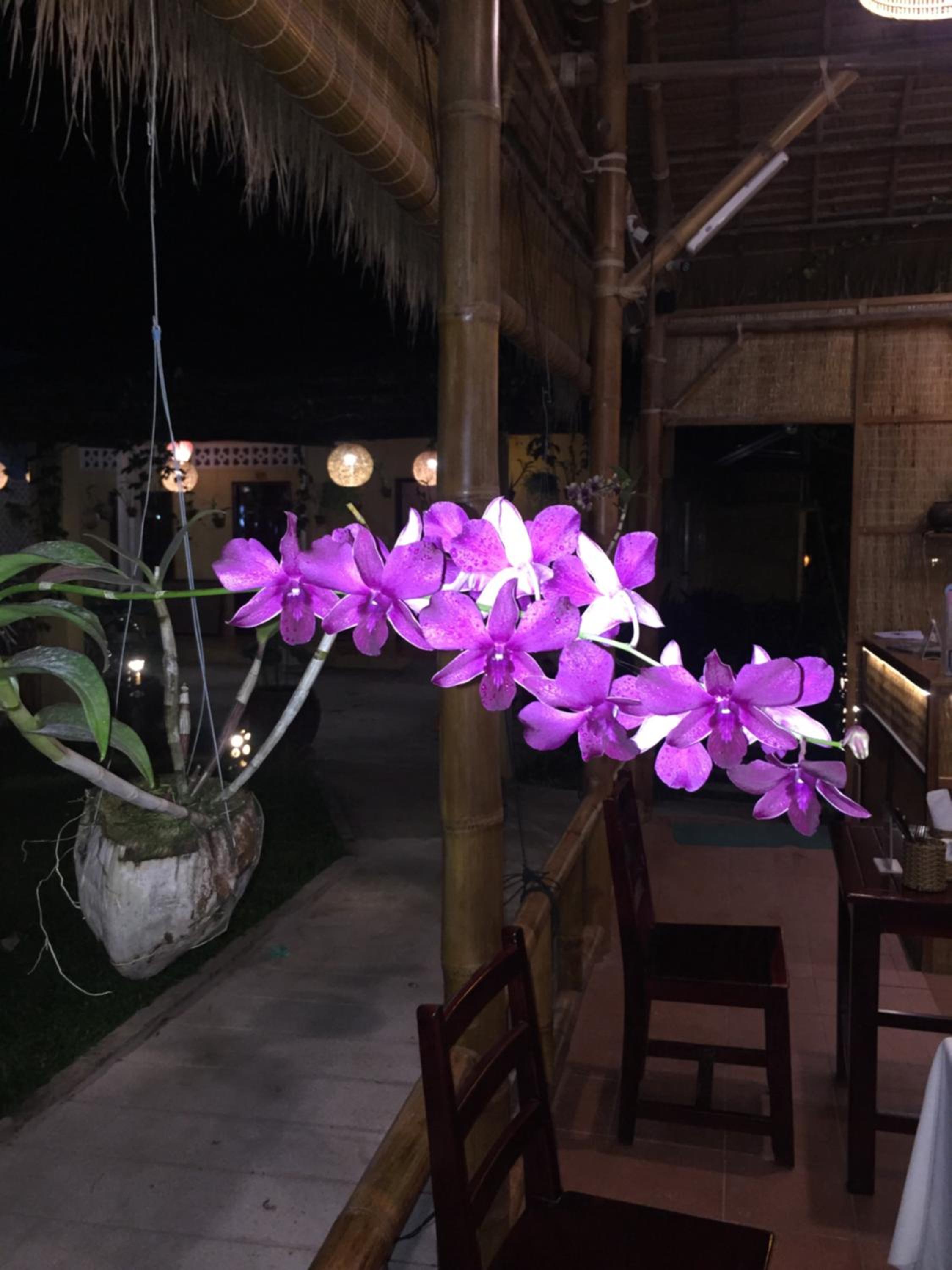 Tropical Garden Phu Quoc