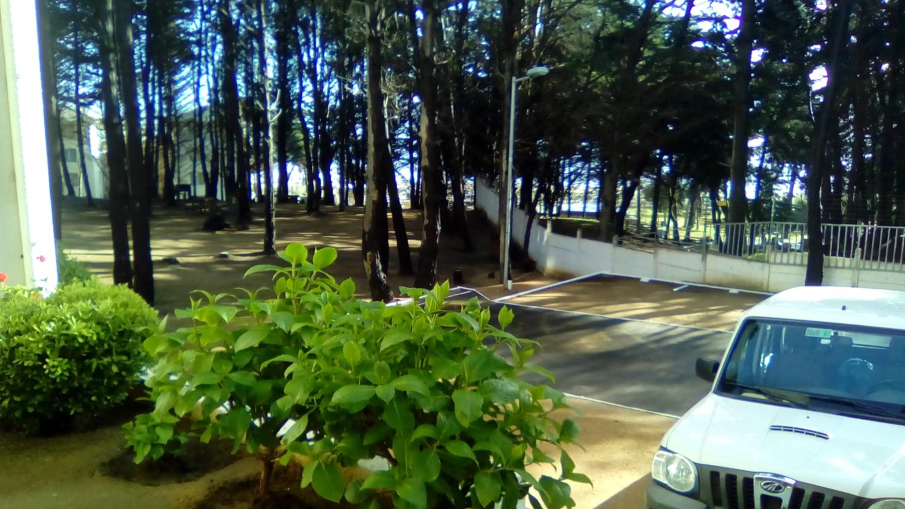 Photo 52