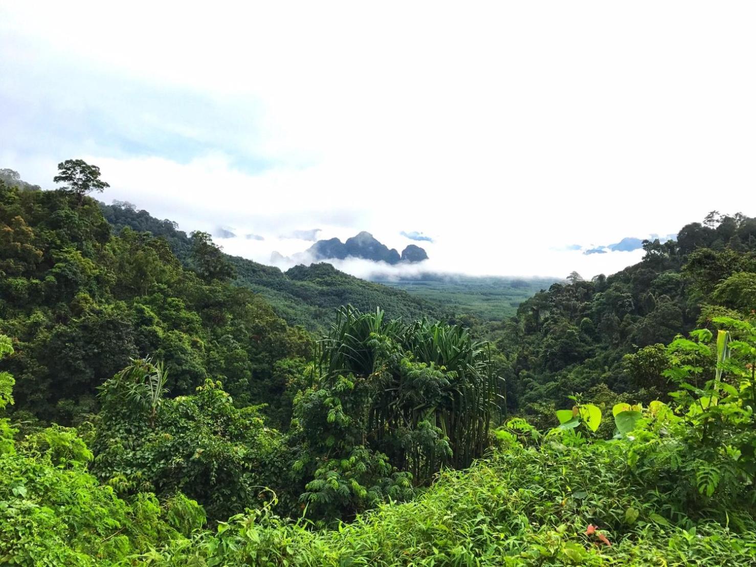 Khao Sok Homestay Resort