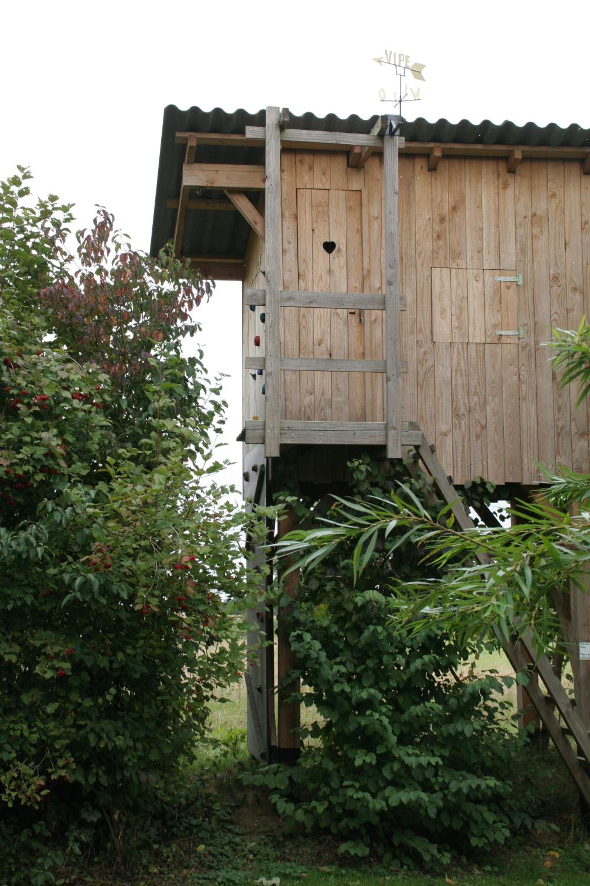 Photo 48