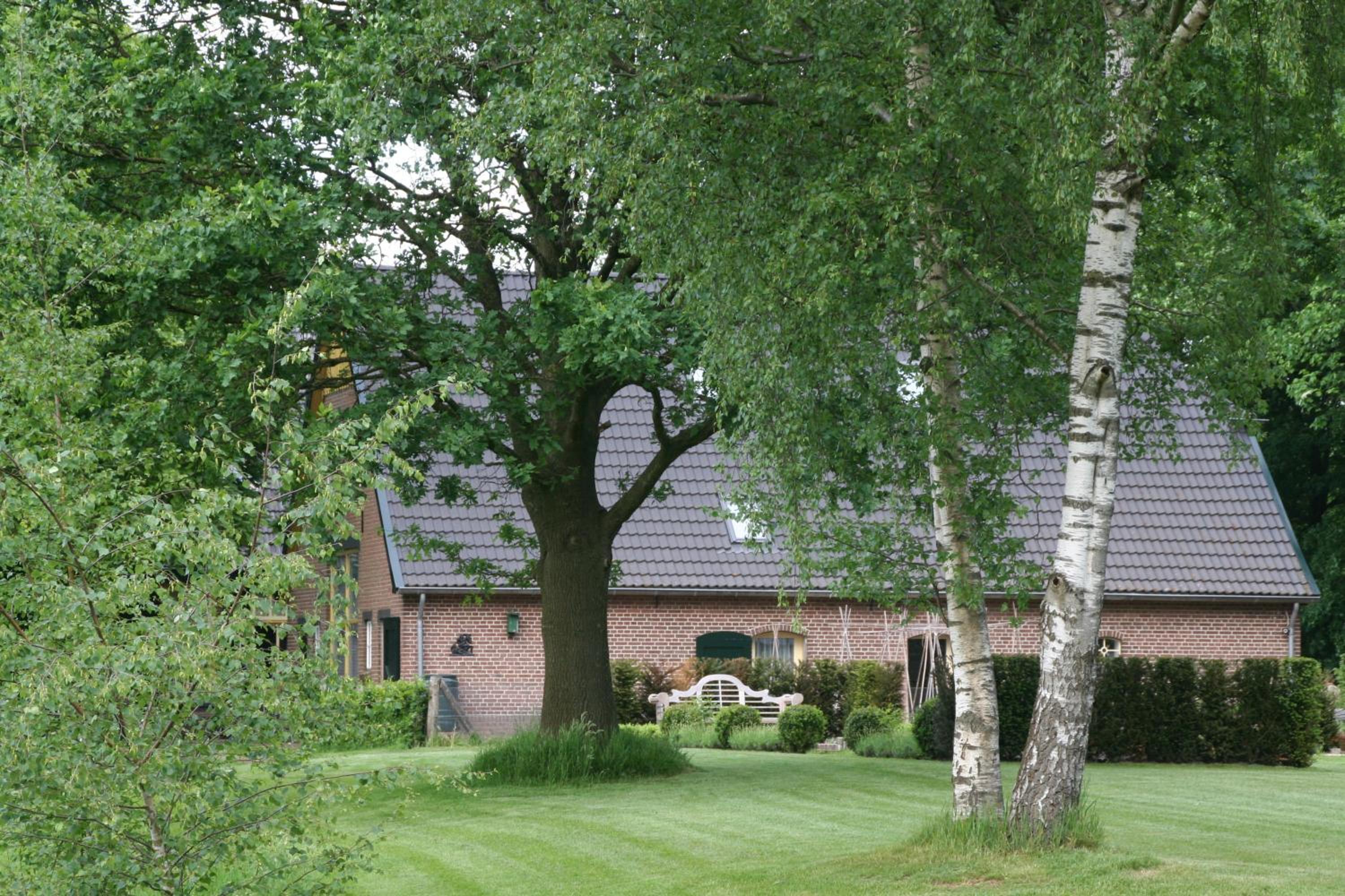 Photo 43
