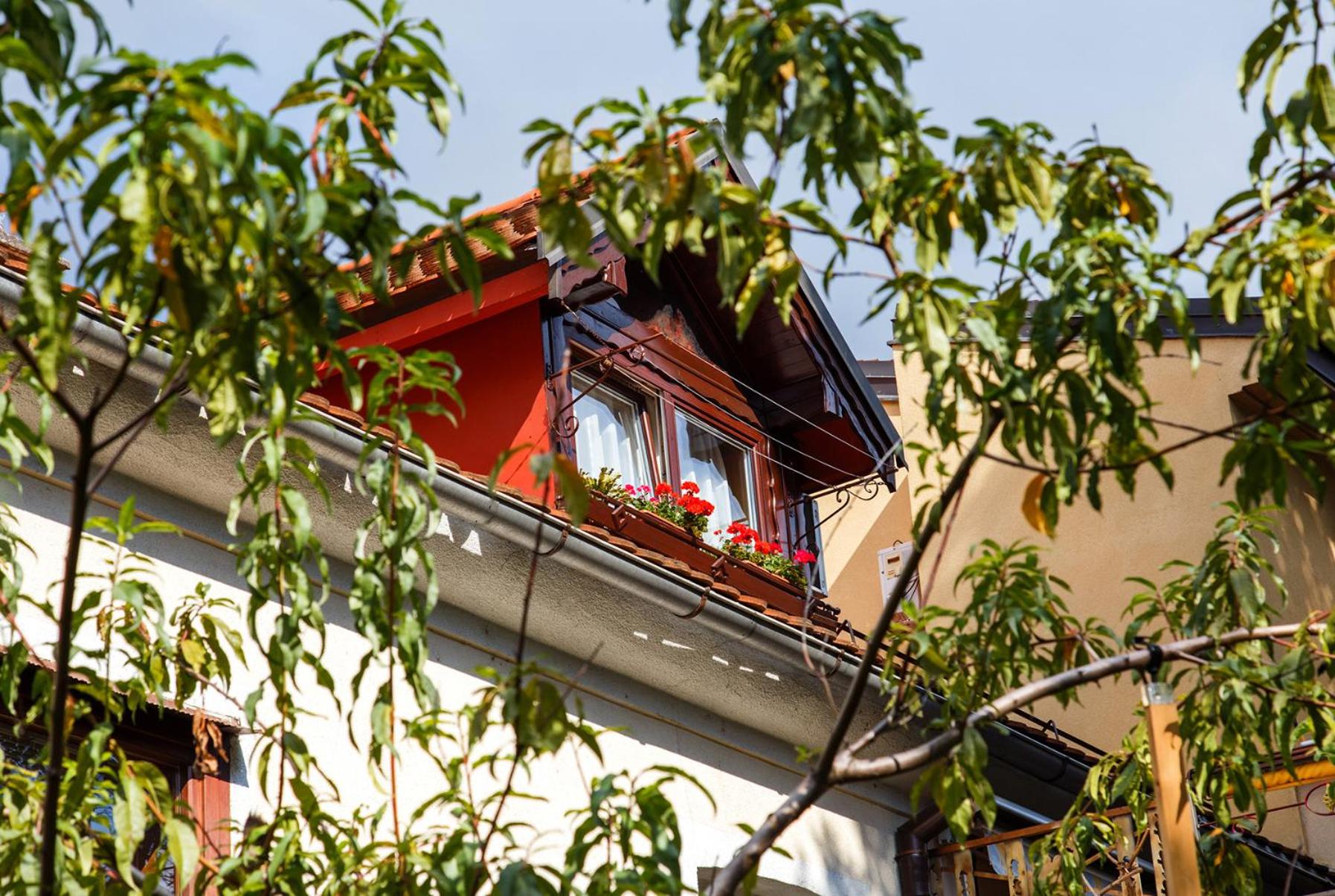 Apartment Ferk view 5
