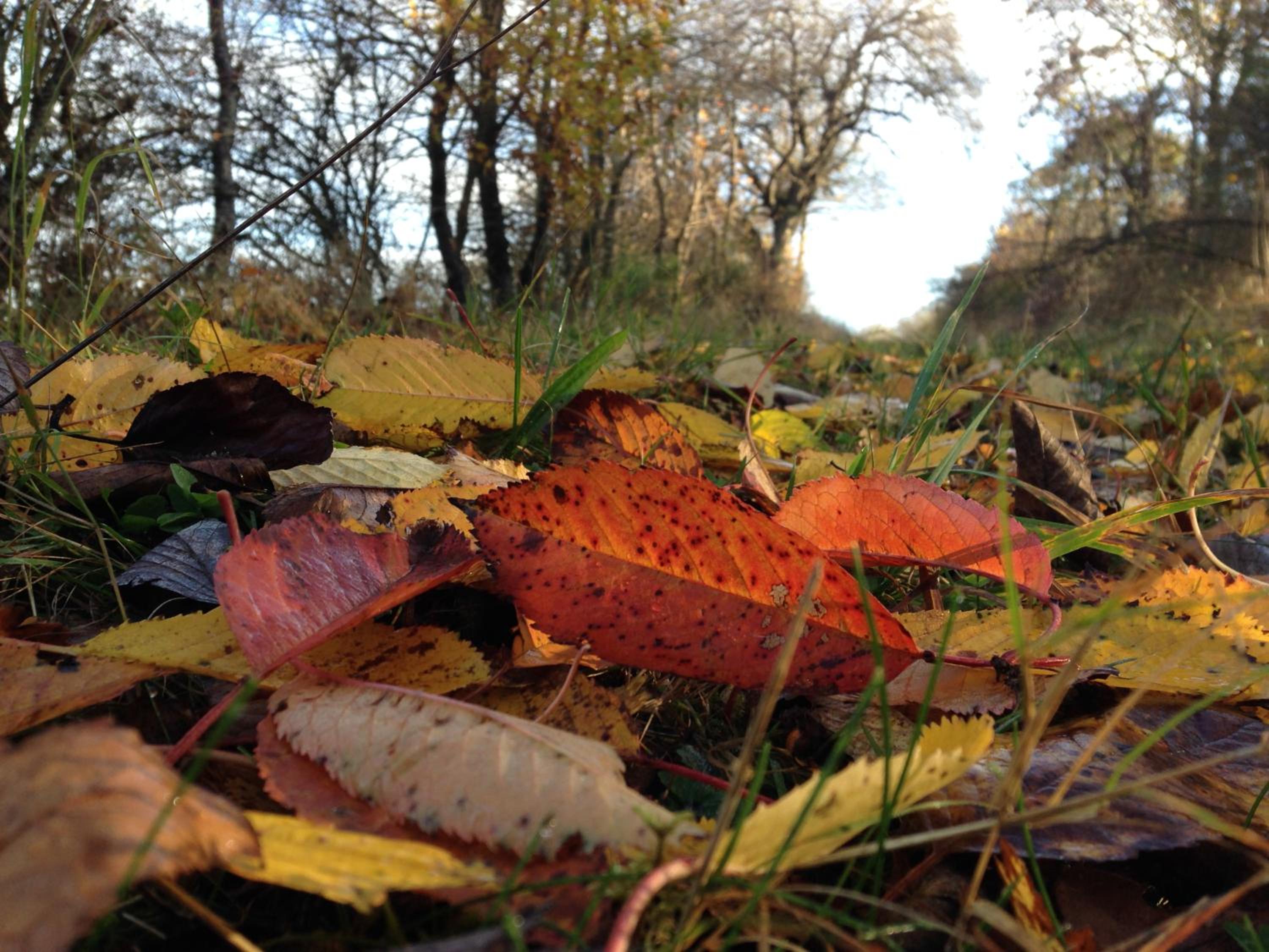 Photo 25