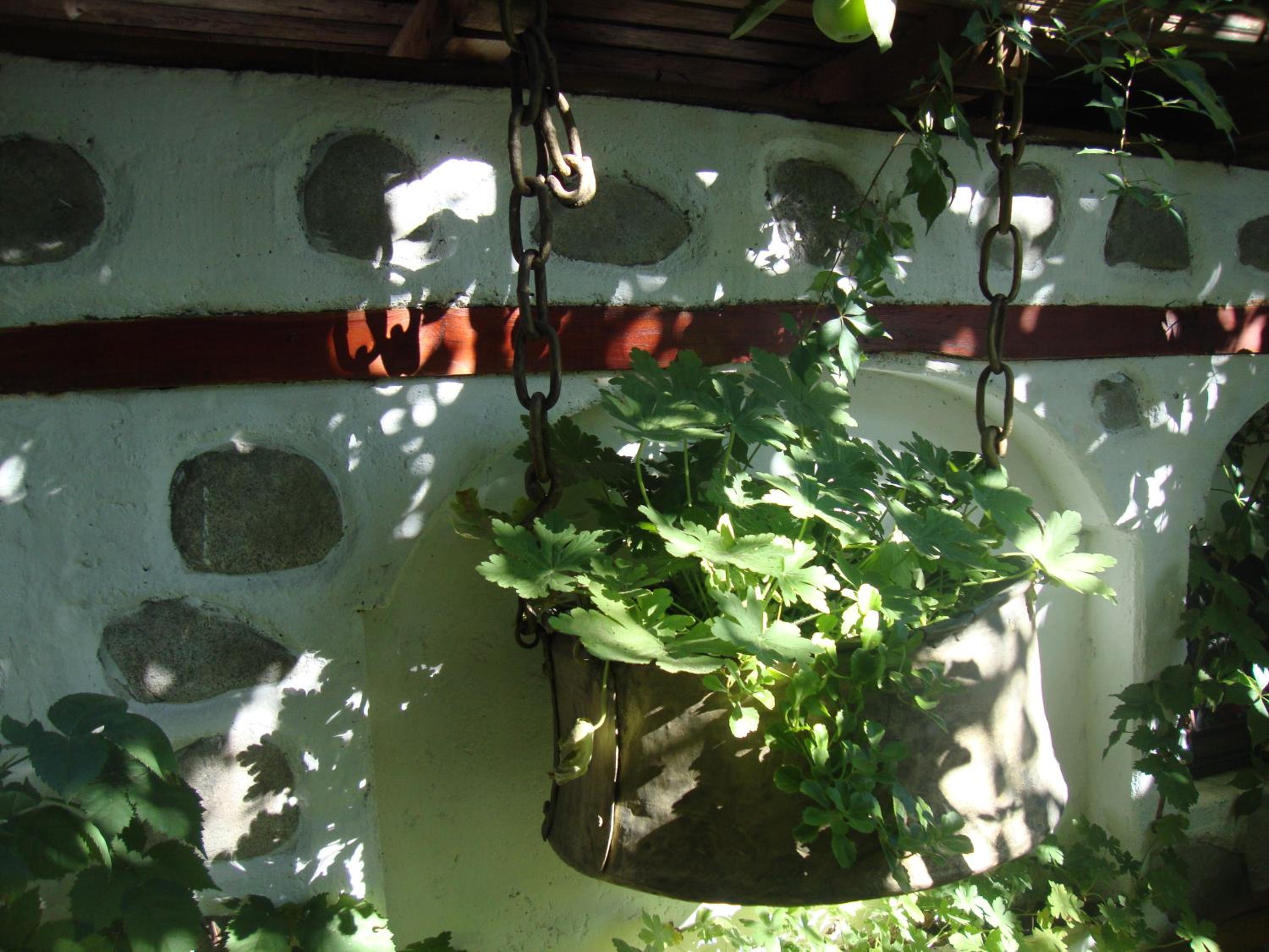 Guest House Planinski Zdravets