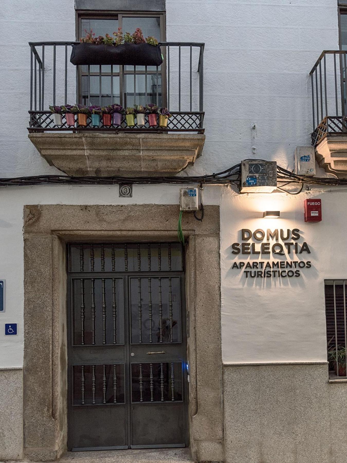 Apartamentos Turísticos Domus Seleqtia Plaza Mayor