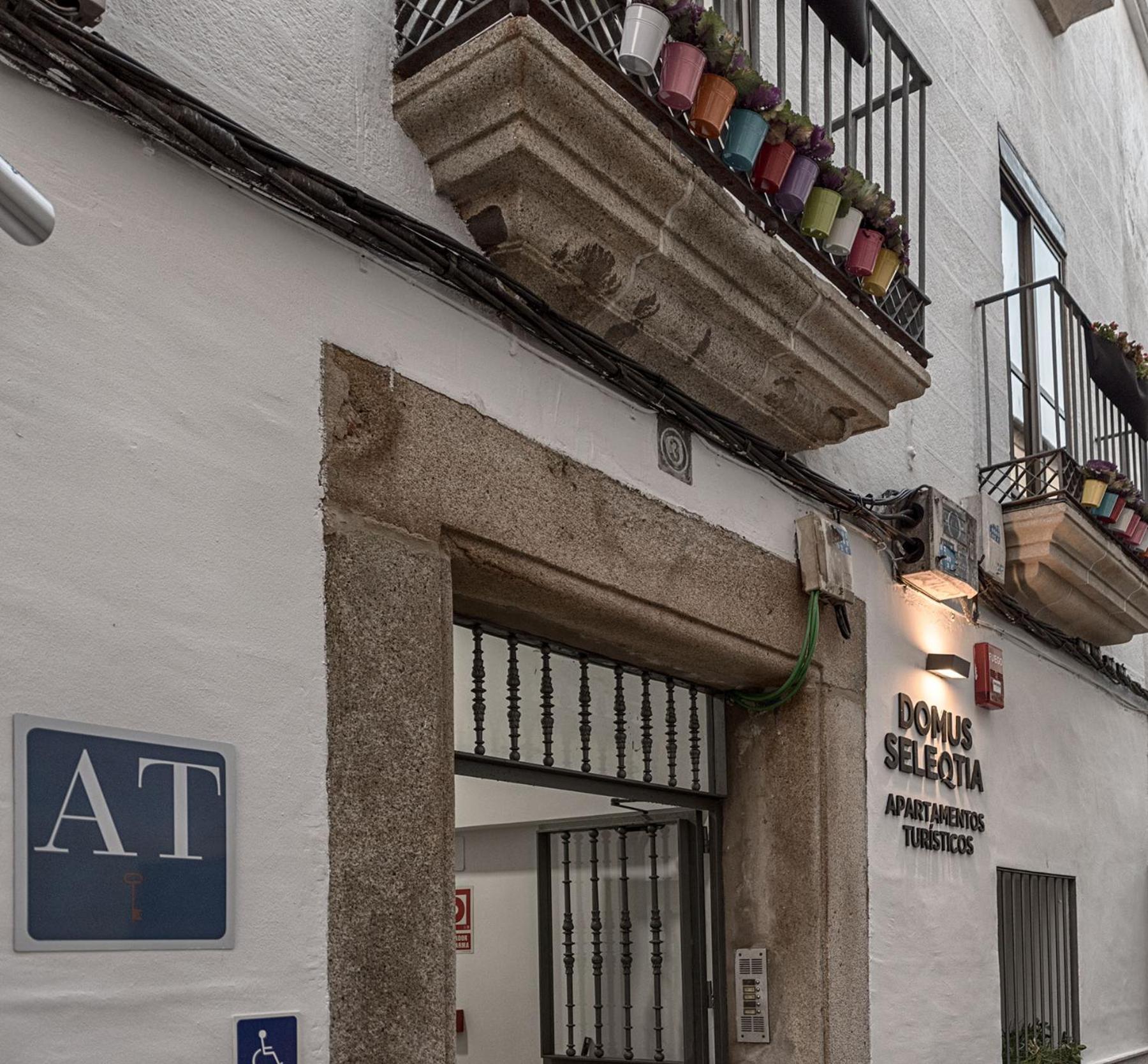 Apartamentos Turísticos Domus Seleqtia Plaza Mayor
