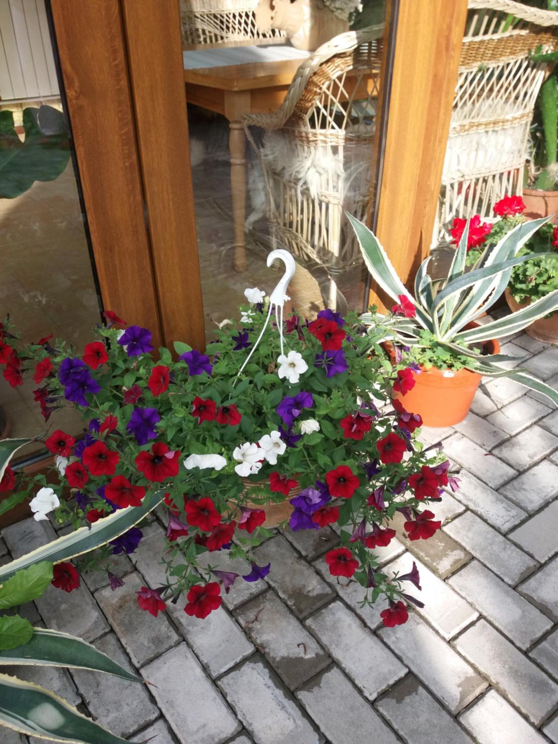 Photo 39