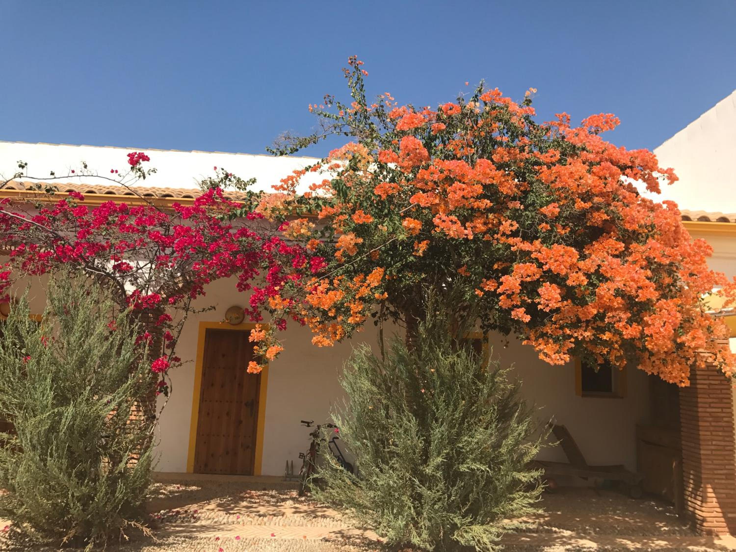 finca las gateras view 3