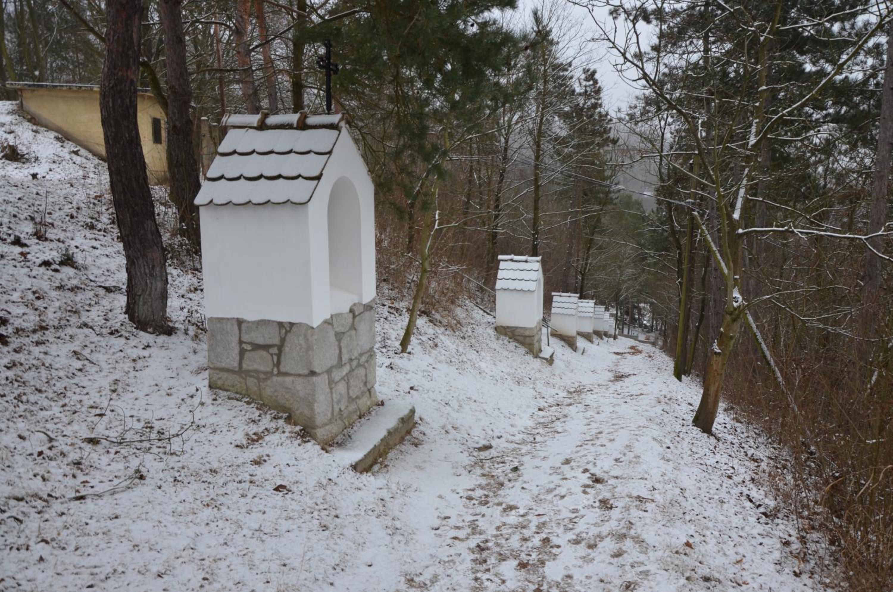 Photo 27