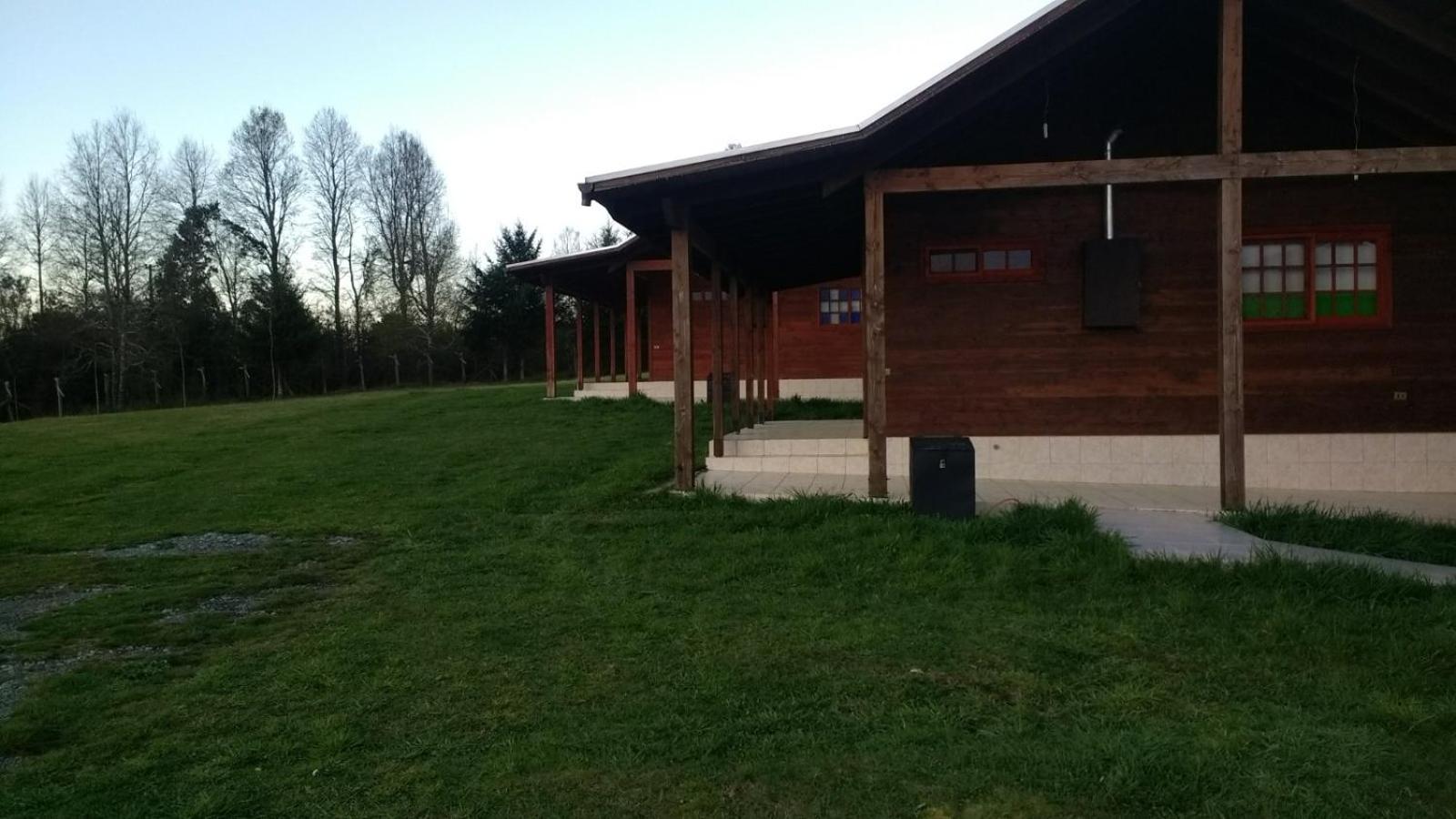 Photo 46